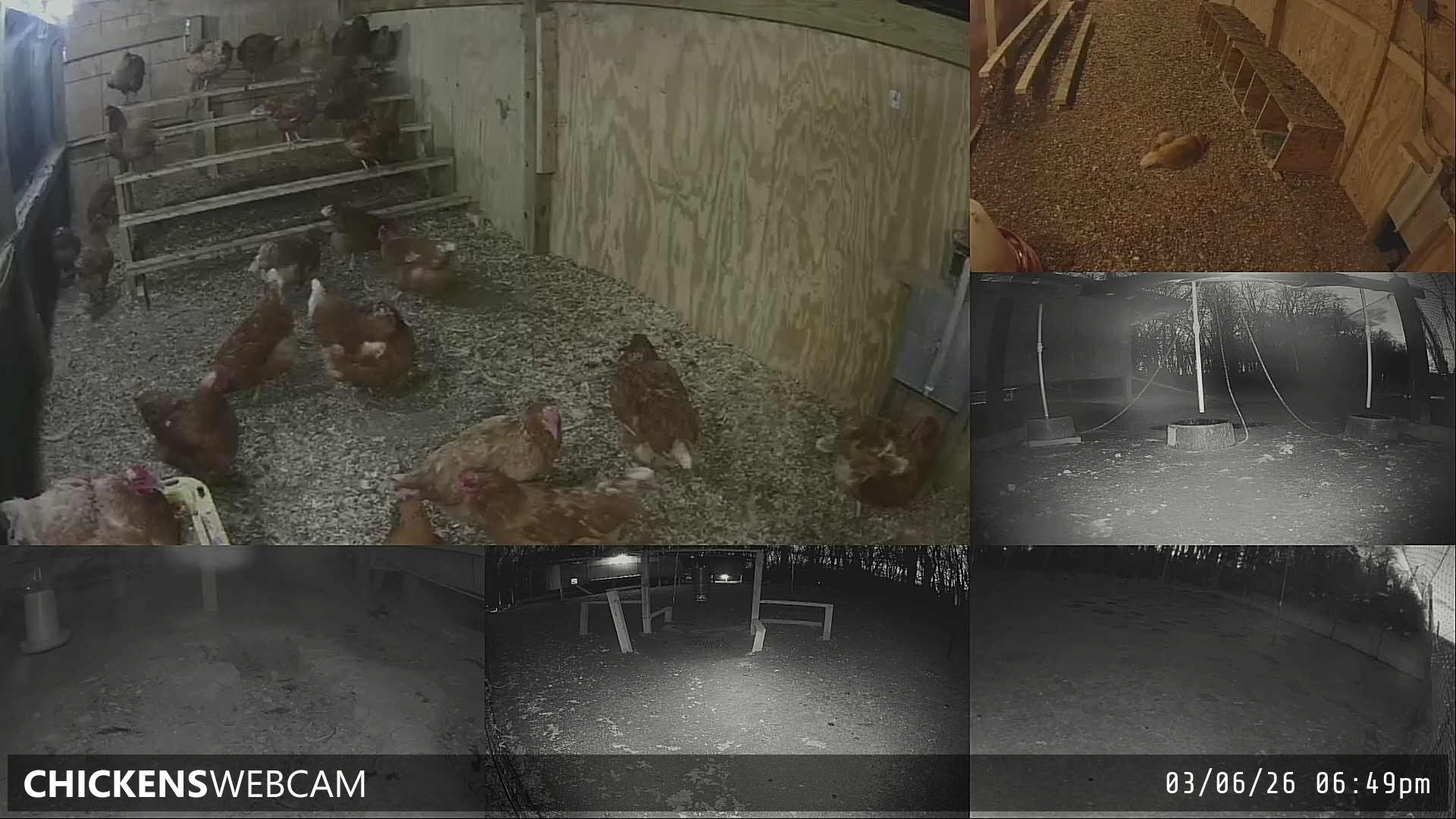 Twitch Stream Preview