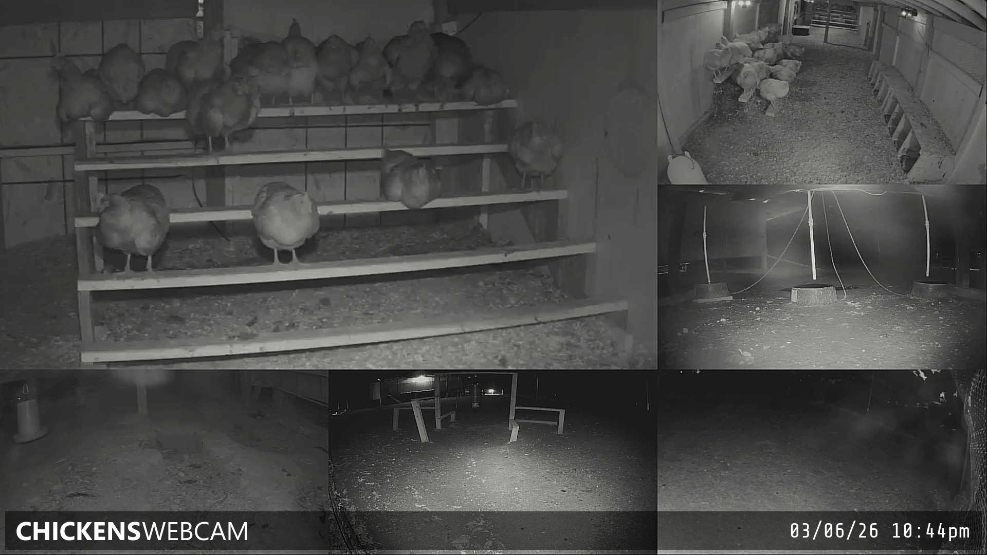 Twitch Stream Preview