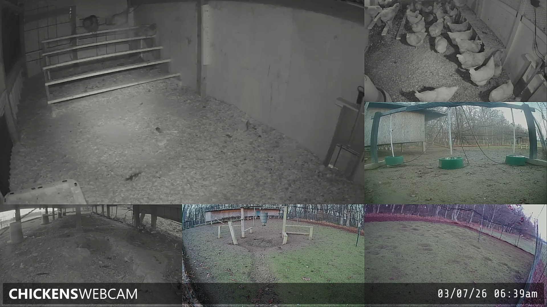 Twitch Stream Preview