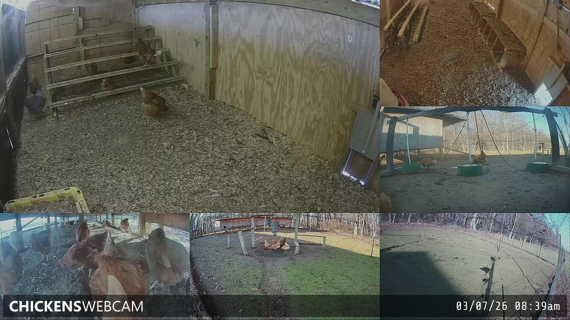 Twitch Stream Preview