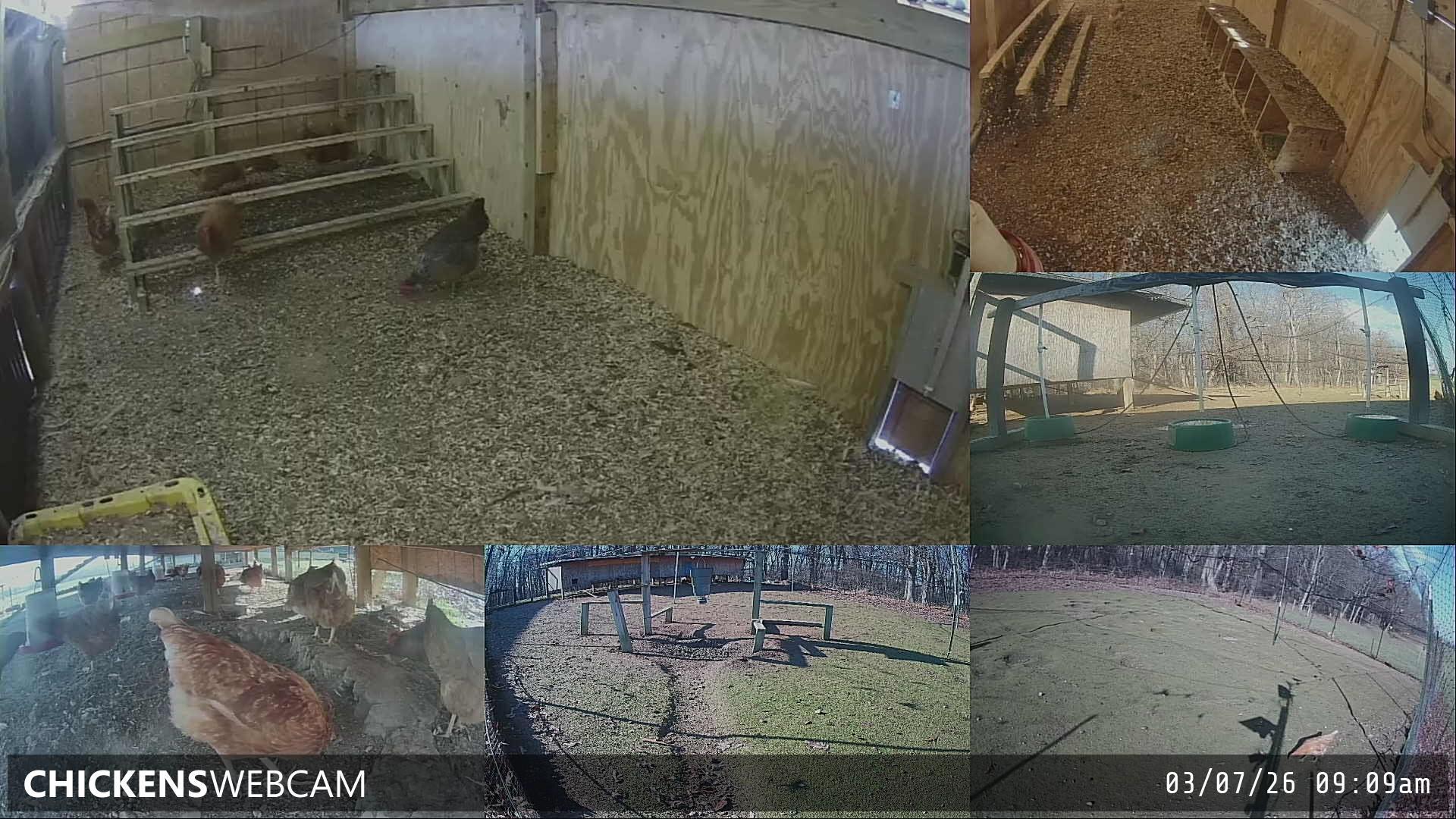 Twitch Stream Preview