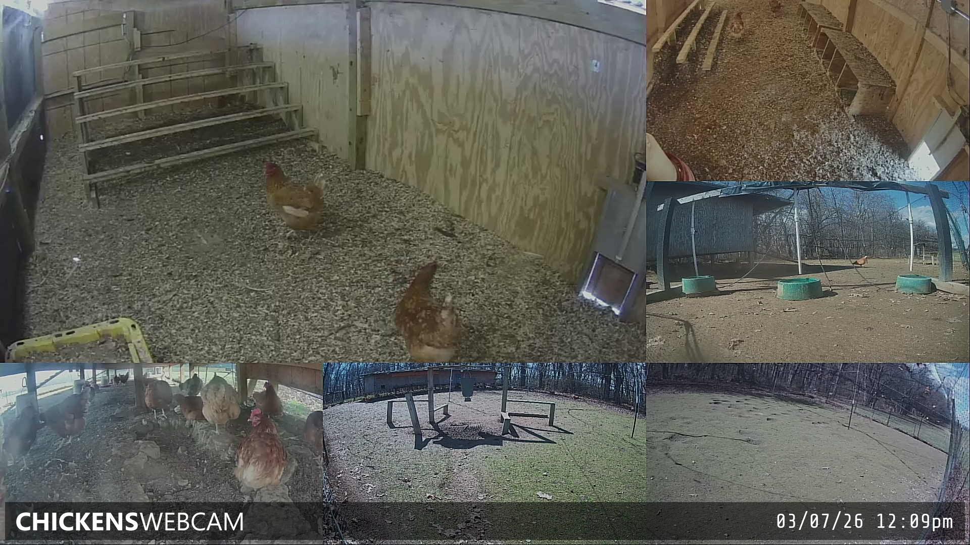 Twitch Stream Preview