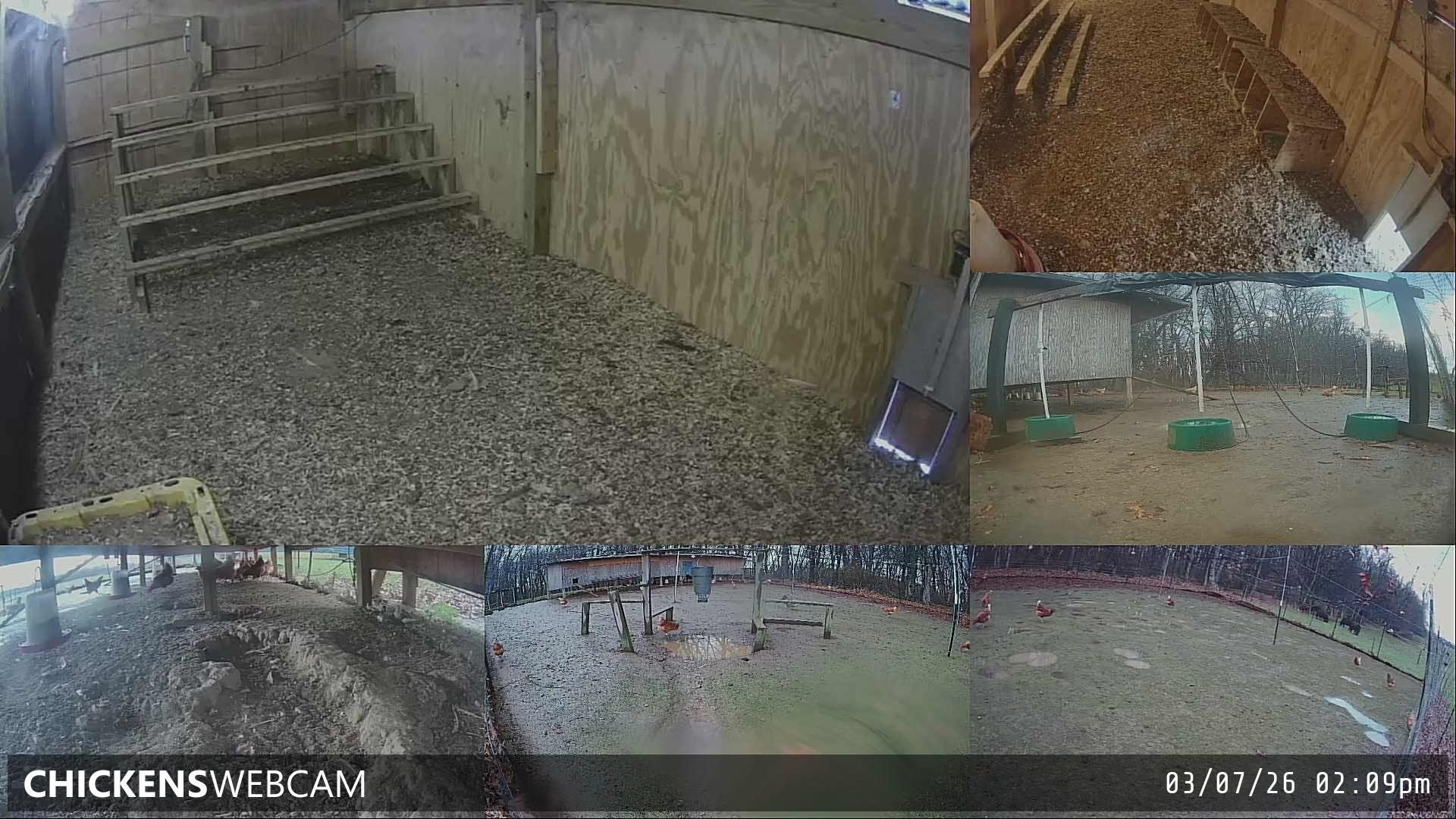 Twitch Stream Preview