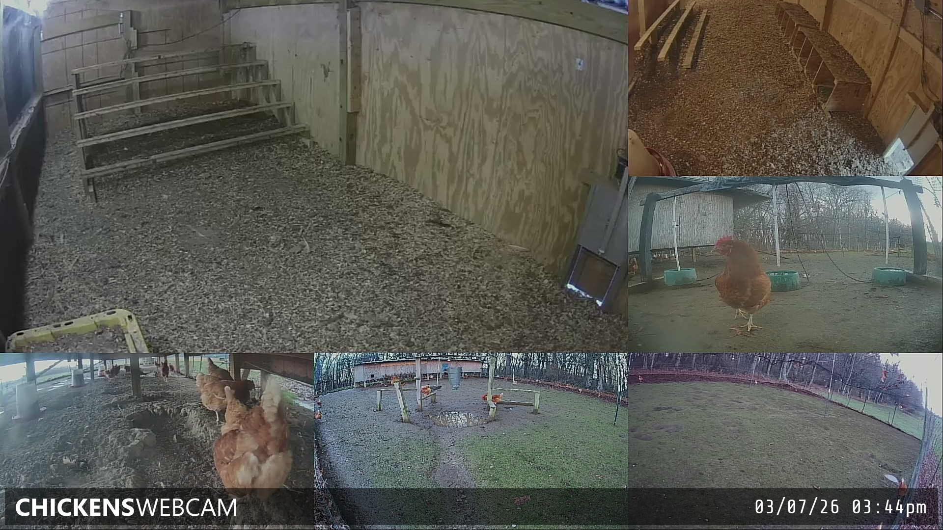 Twitch Stream Preview