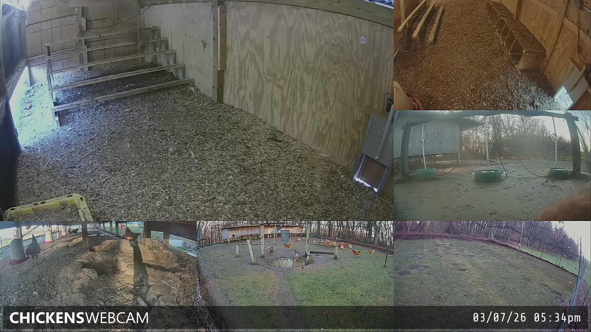 Twitch Stream Preview