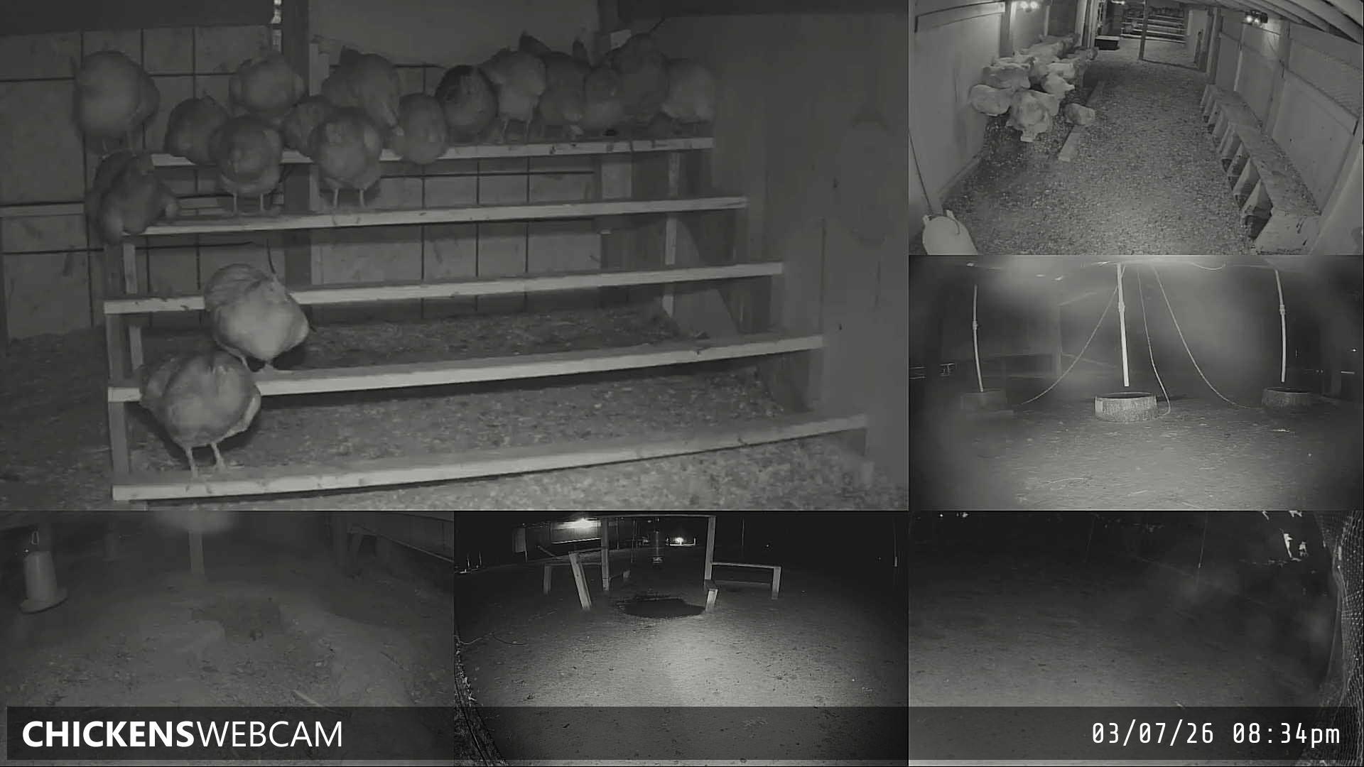 Twitch Stream Preview