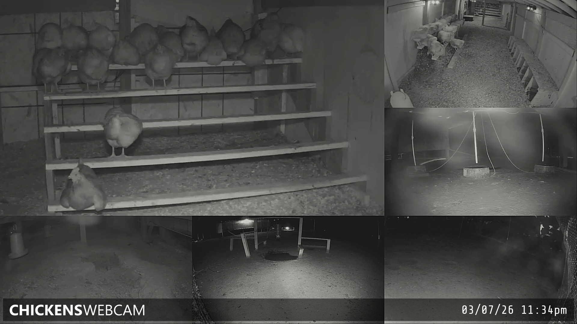 Twitch Stream Preview