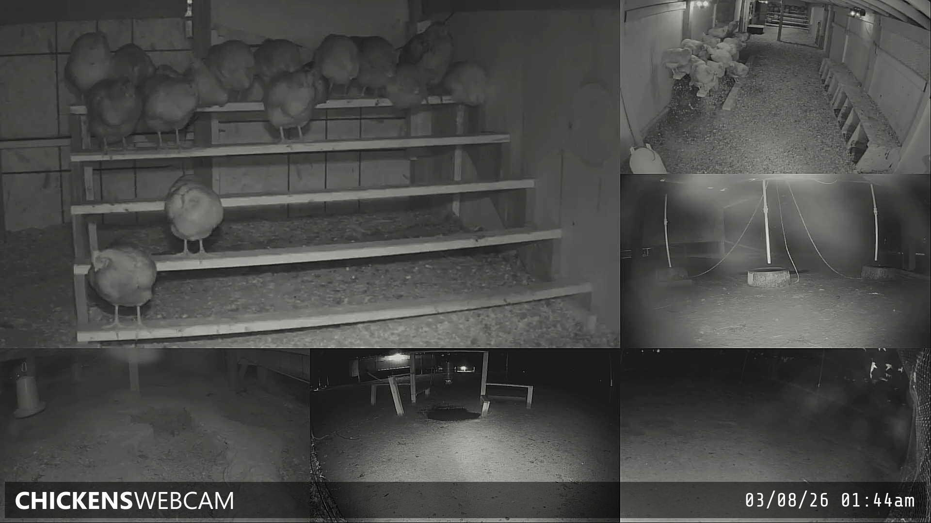 Twitch Stream Preview