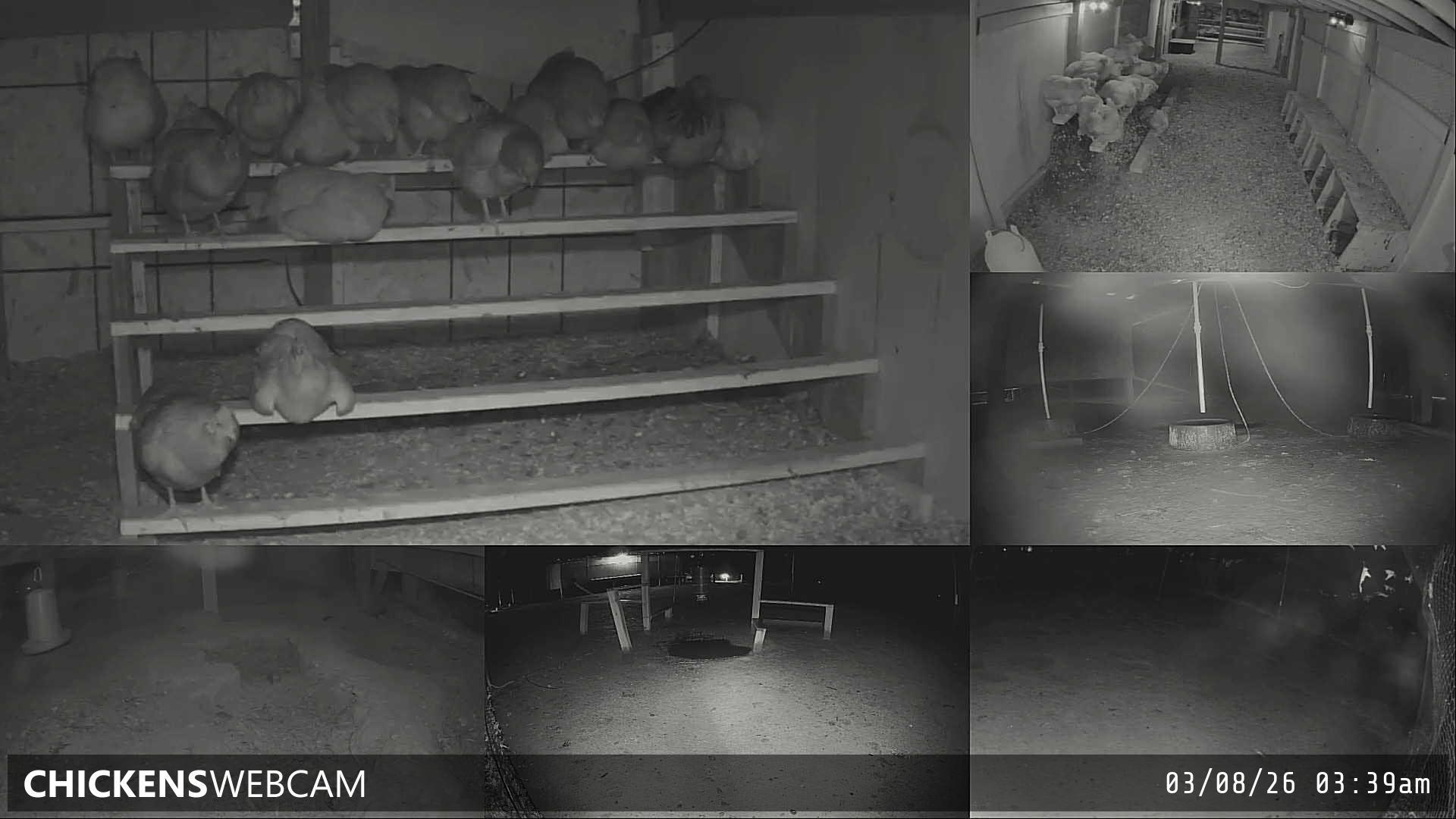 Twitch Stream Preview