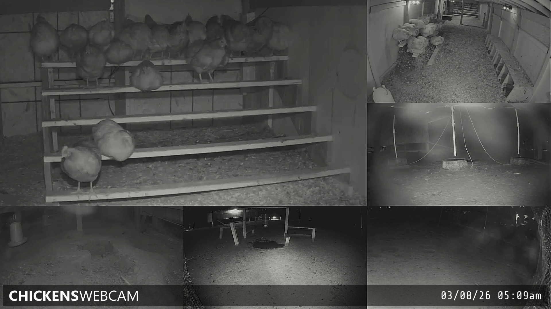 Twitch Stream Preview