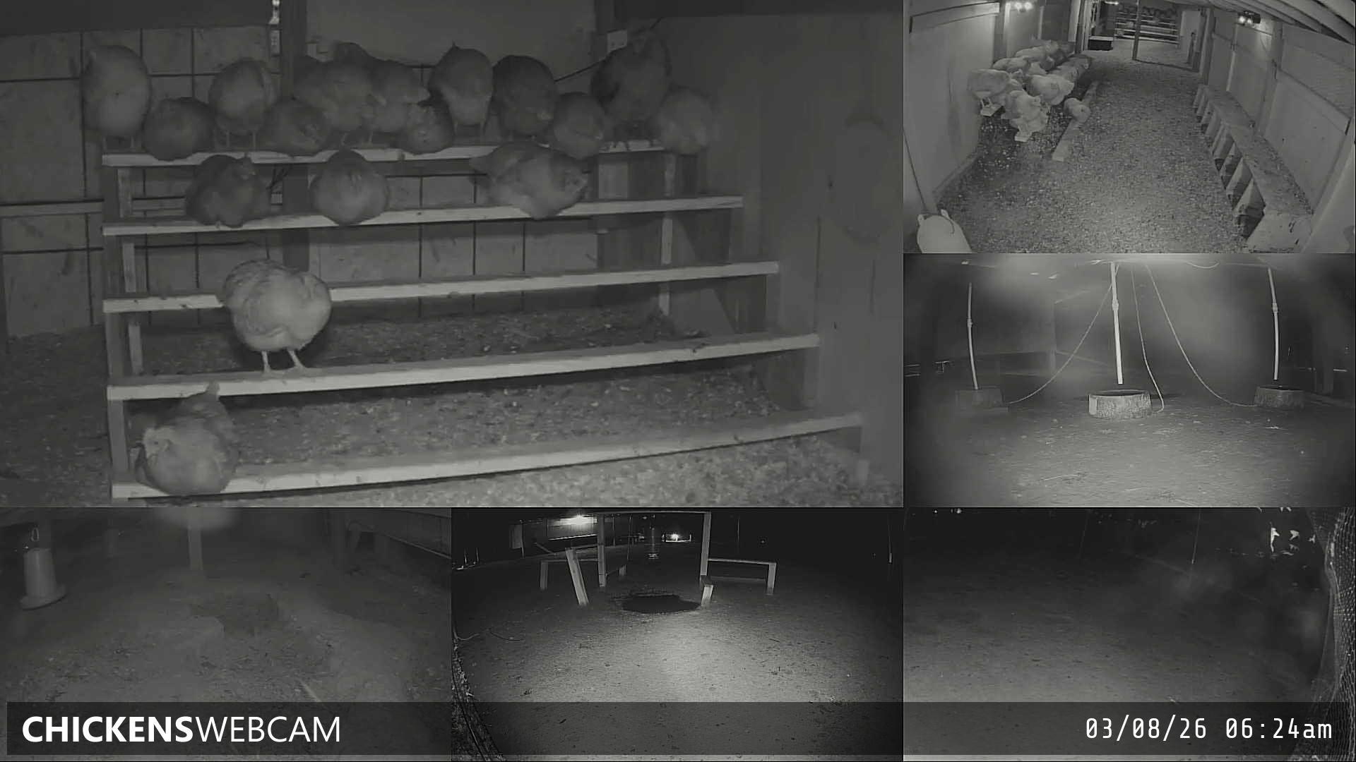 Twitch Stream Preview