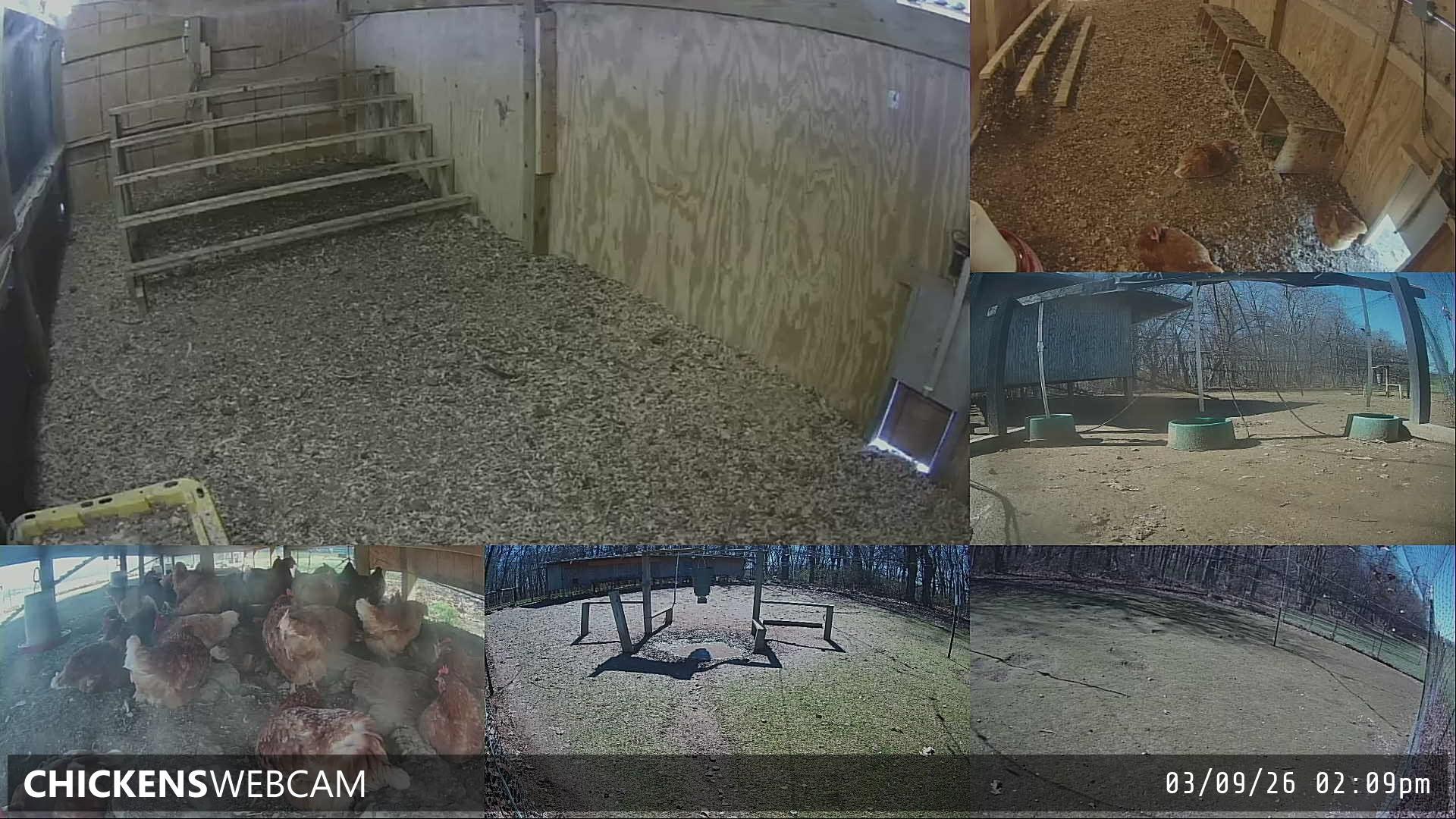 Twitch Stream Preview