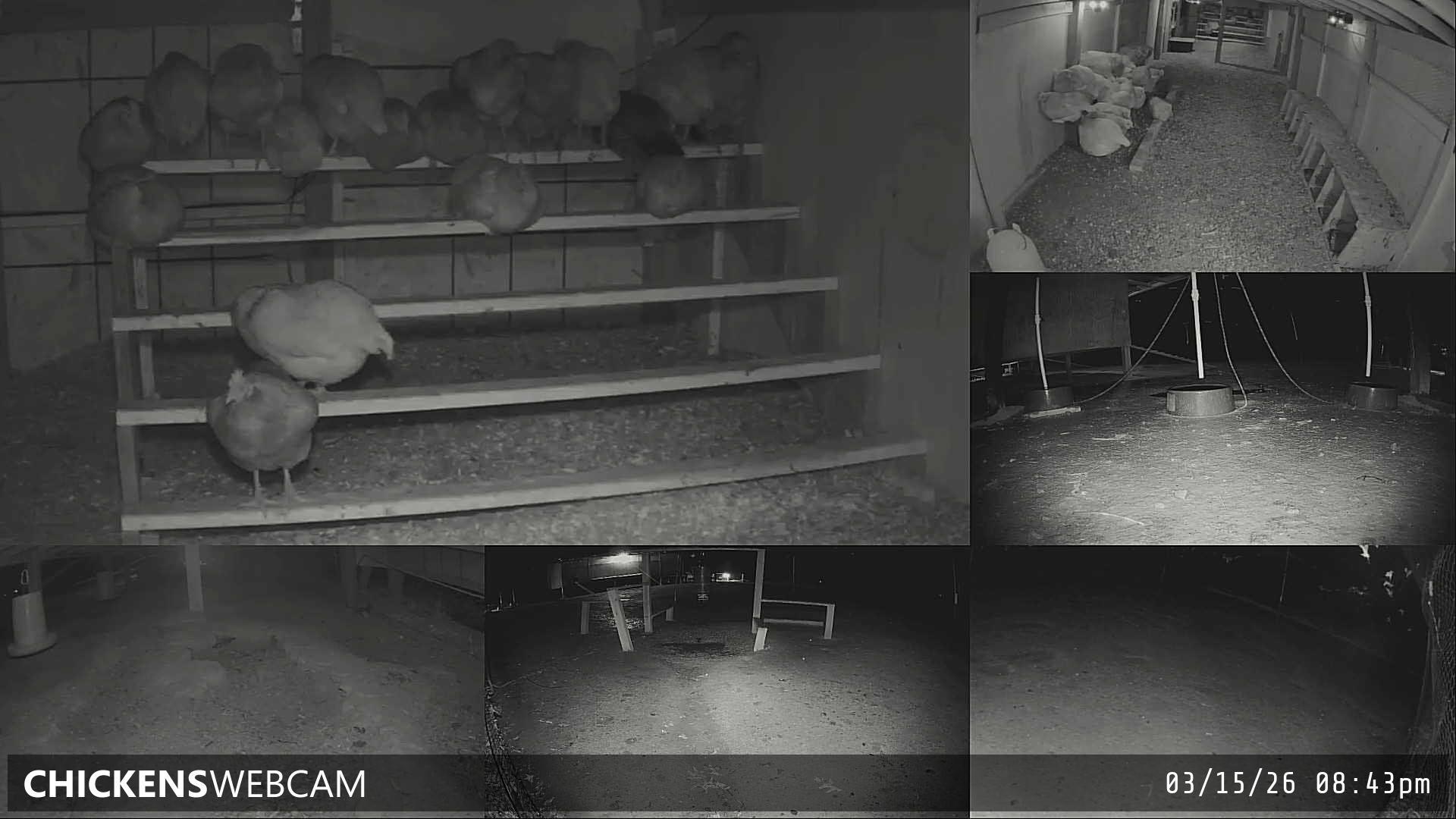 Twitch Stream Preview