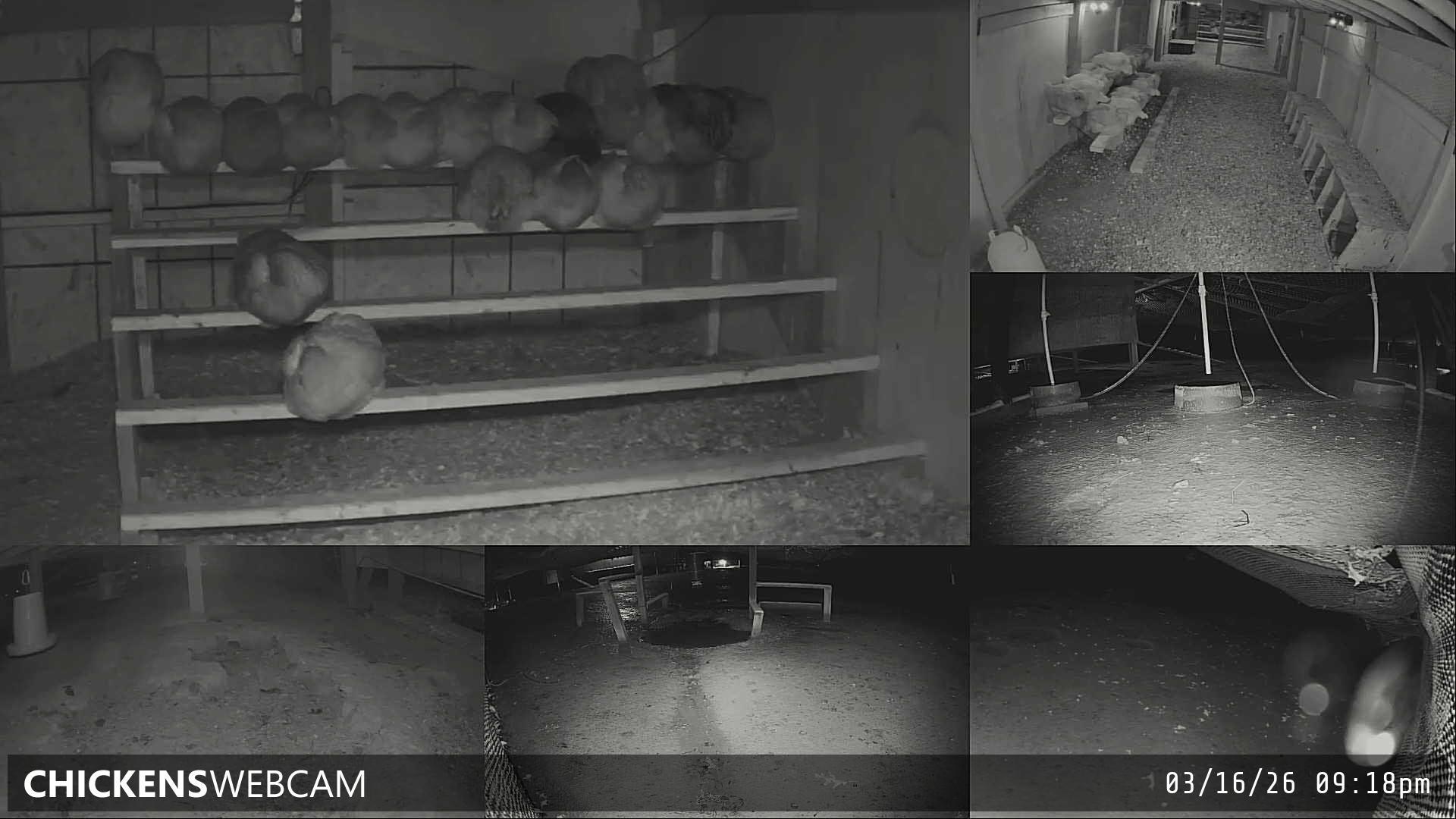 Twitch Stream Preview