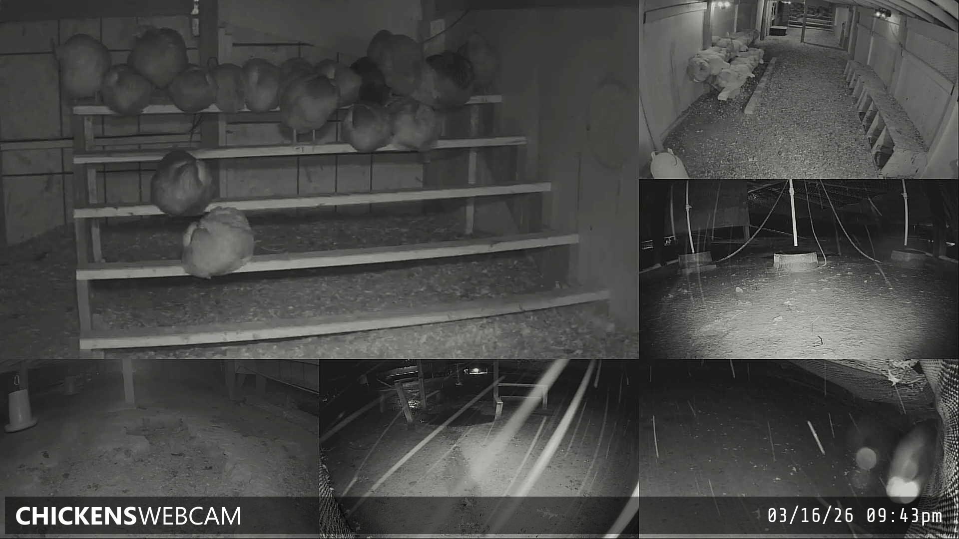 Twitch Stream Preview