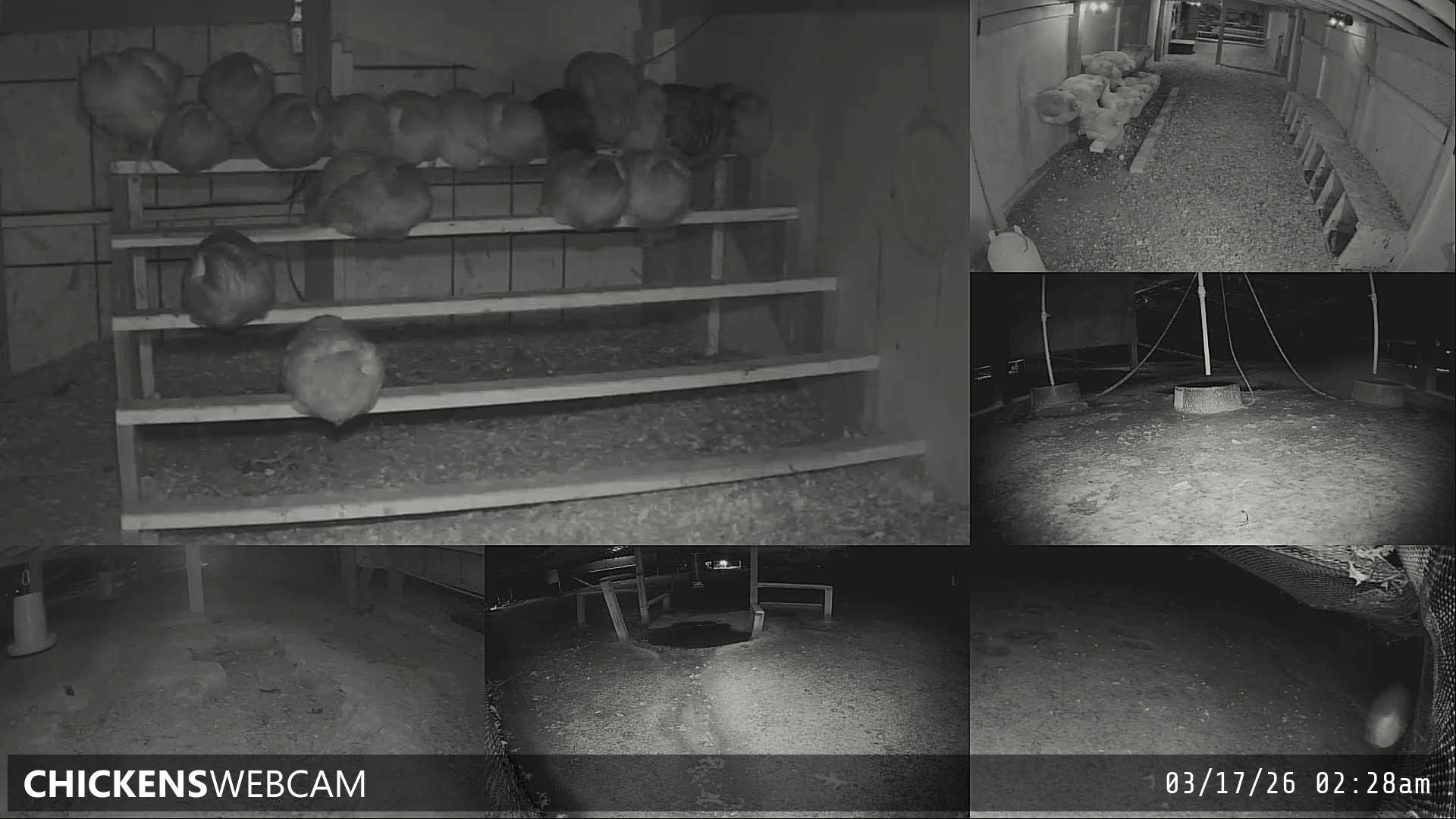 Twitch Stream Preview