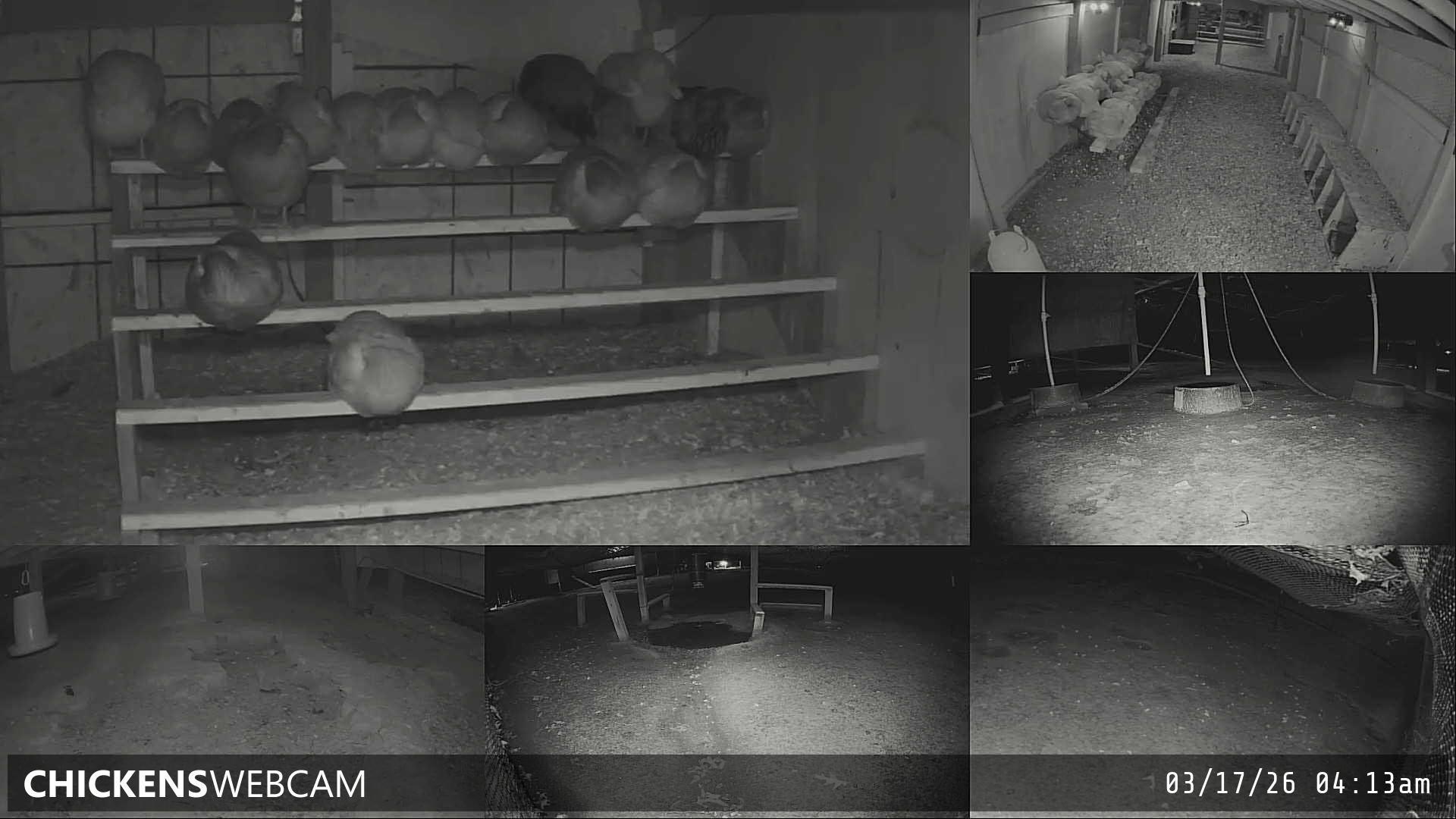 Twitch Stream Preview