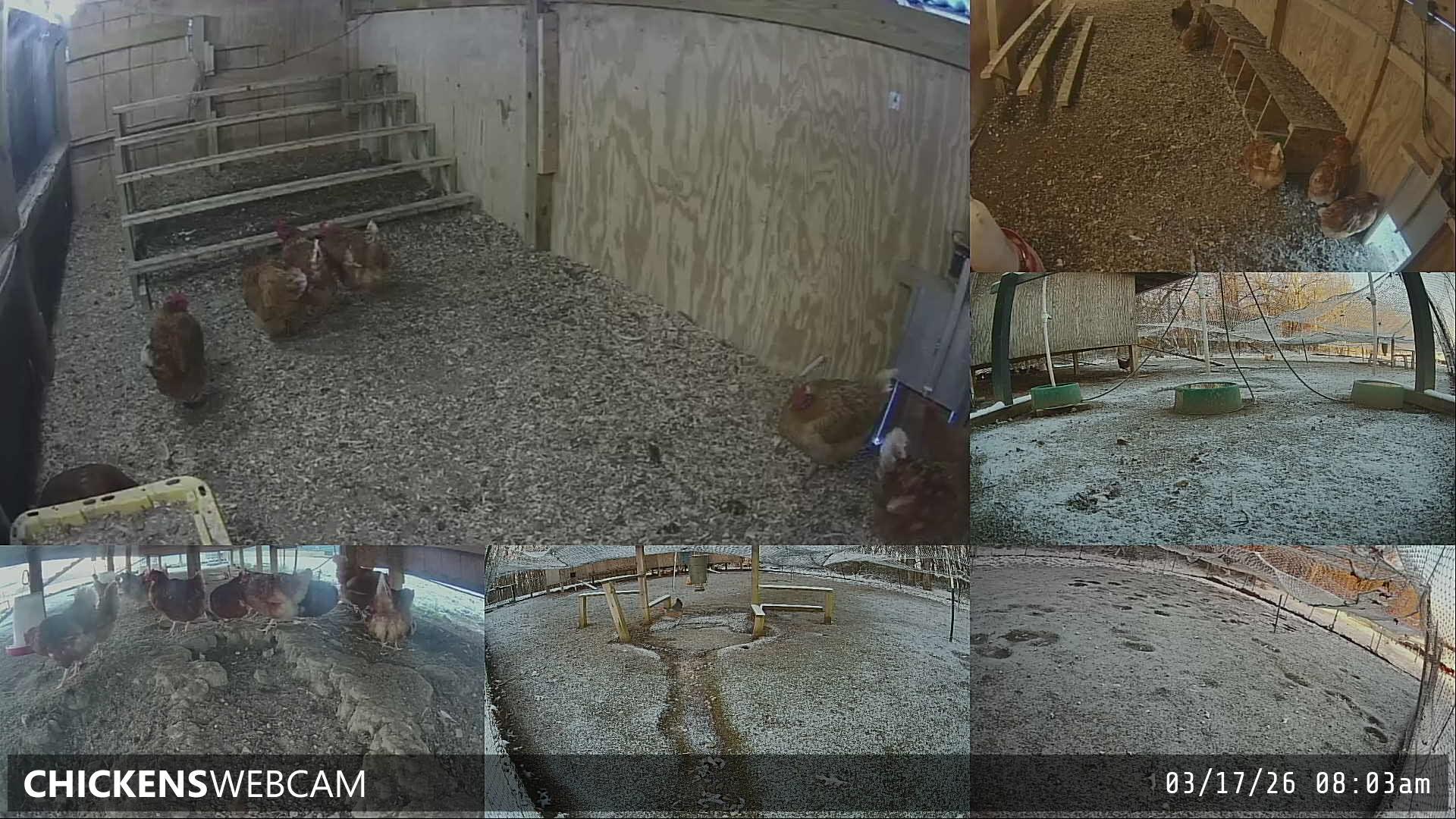 Twitch Stream Preview