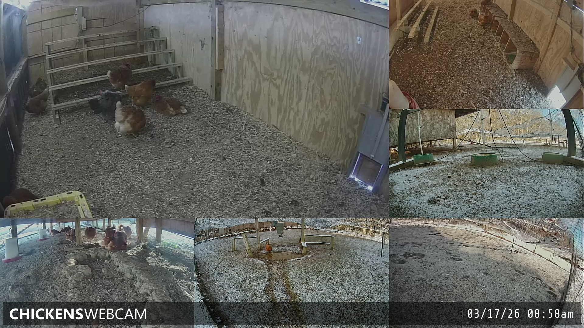 Twitch Stream Preview