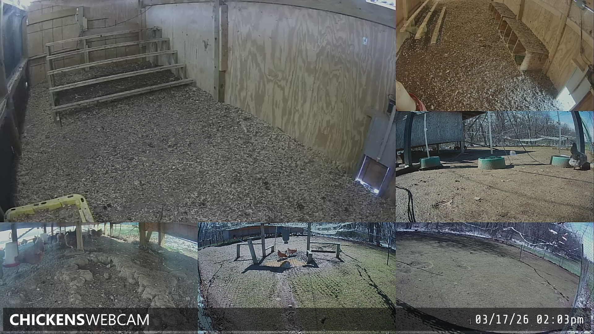 Twitch Stream Preview