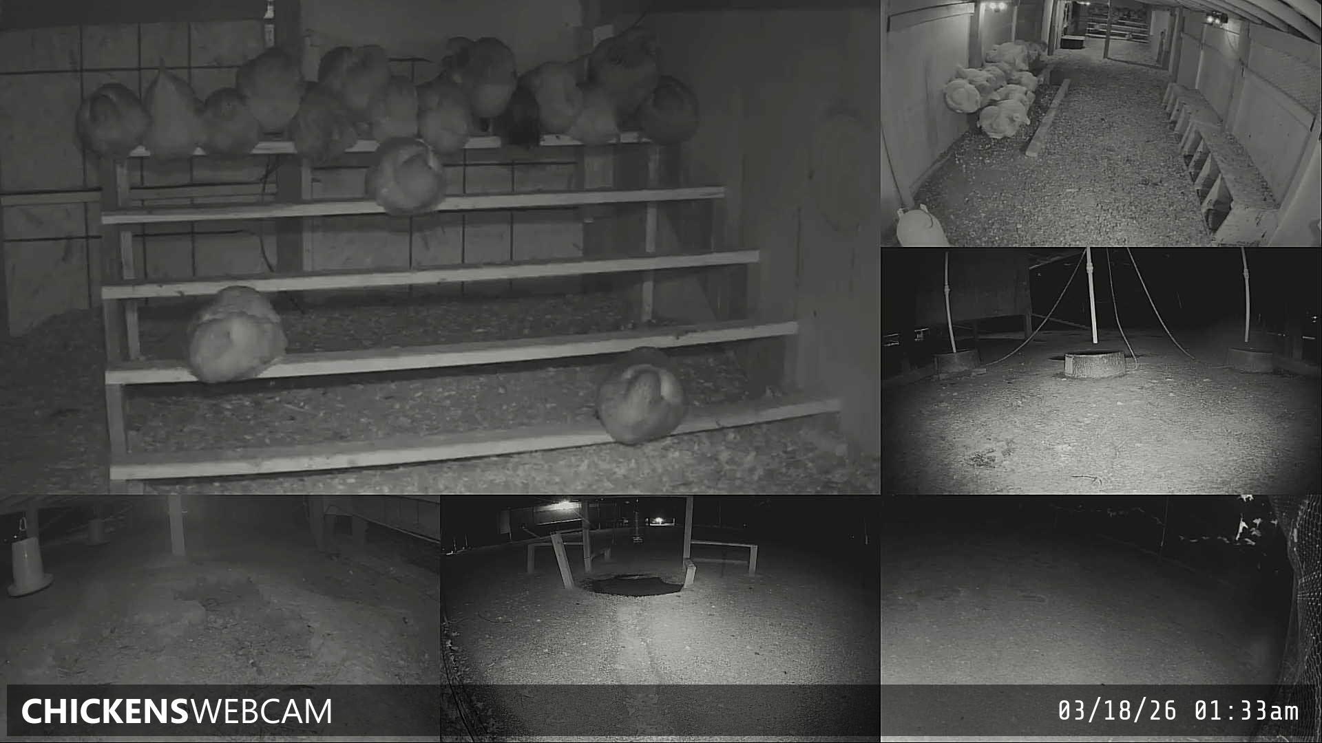 Twitch Stream Preview