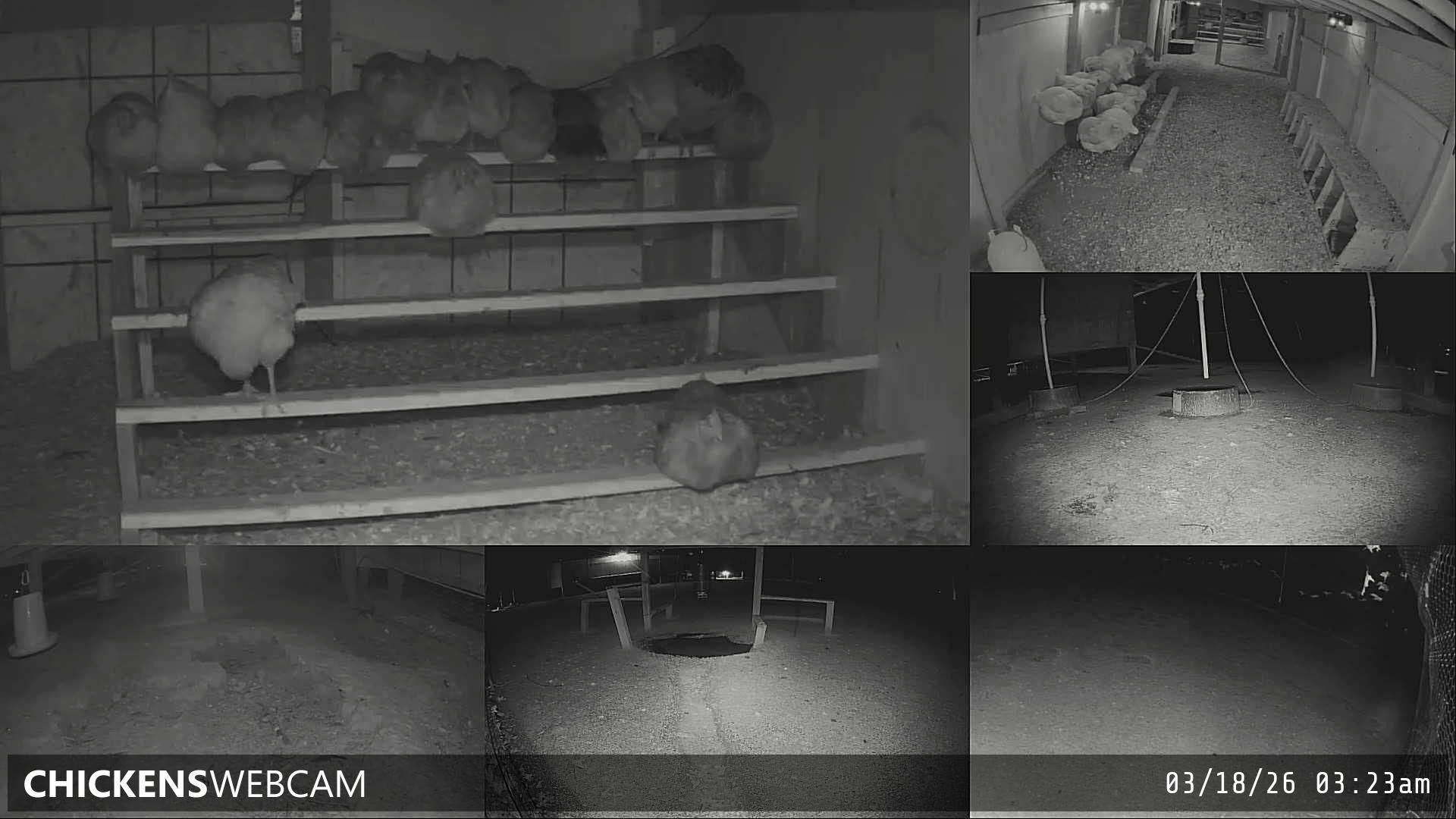 Twitch Stream Preview