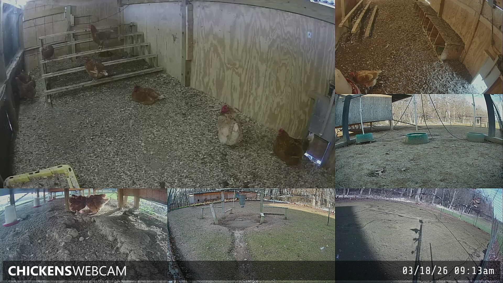 Twitch Stream Preview