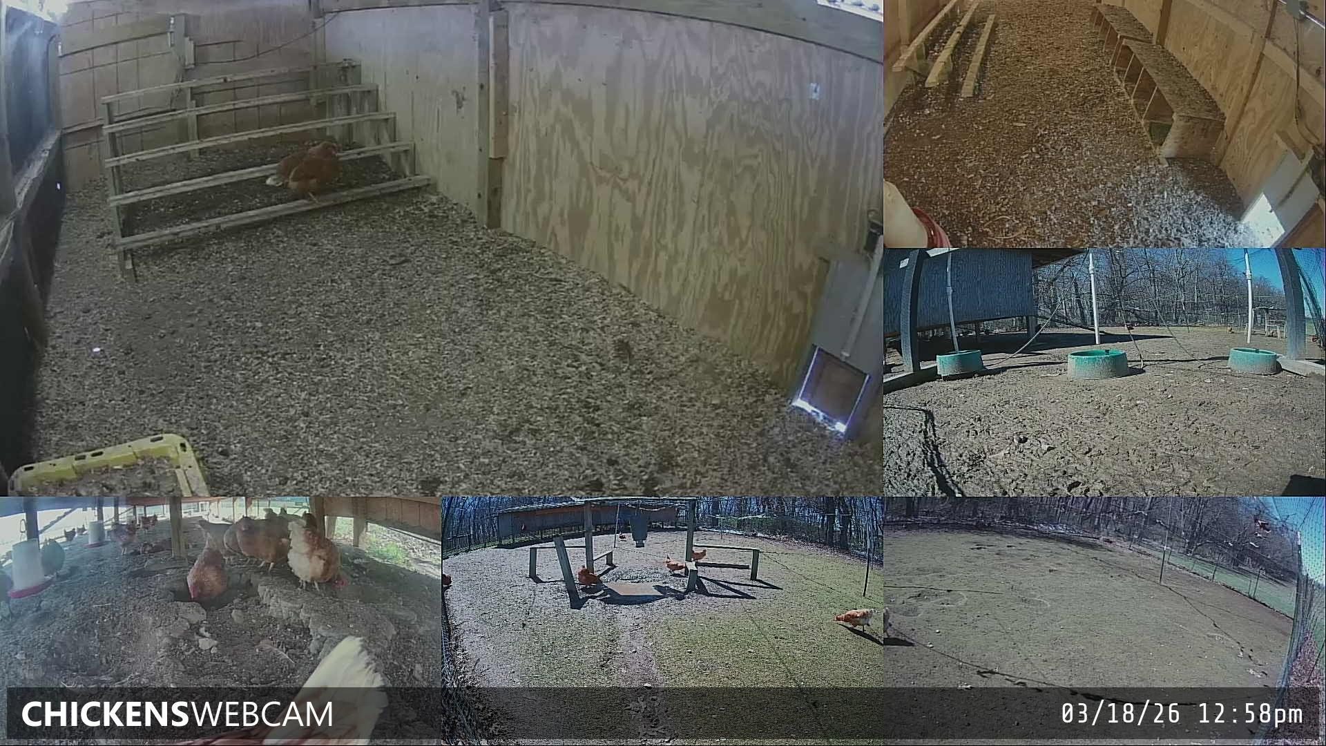 Twitch Stream Preview