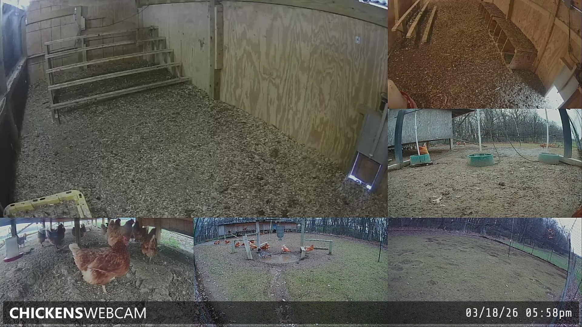 Twitch Stream Preview