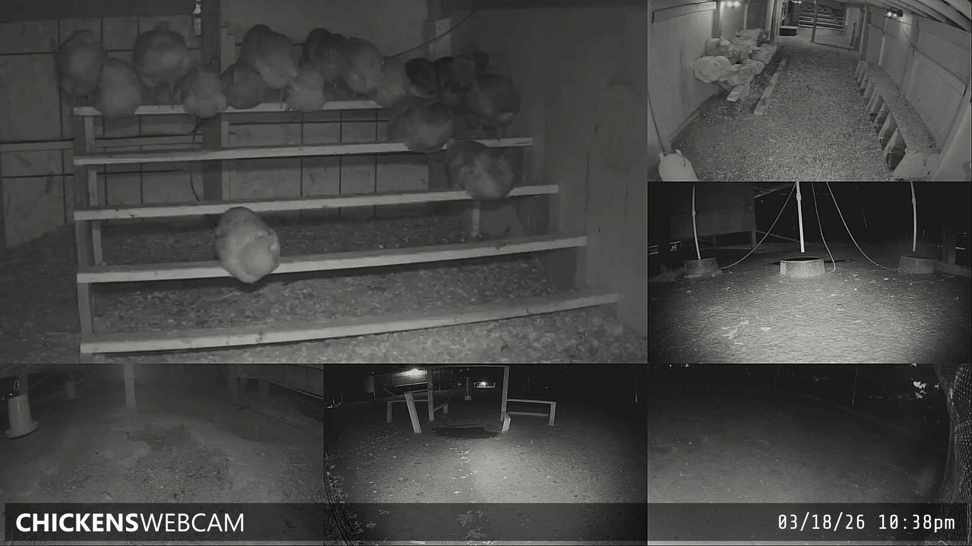 Twitch Stream Preview