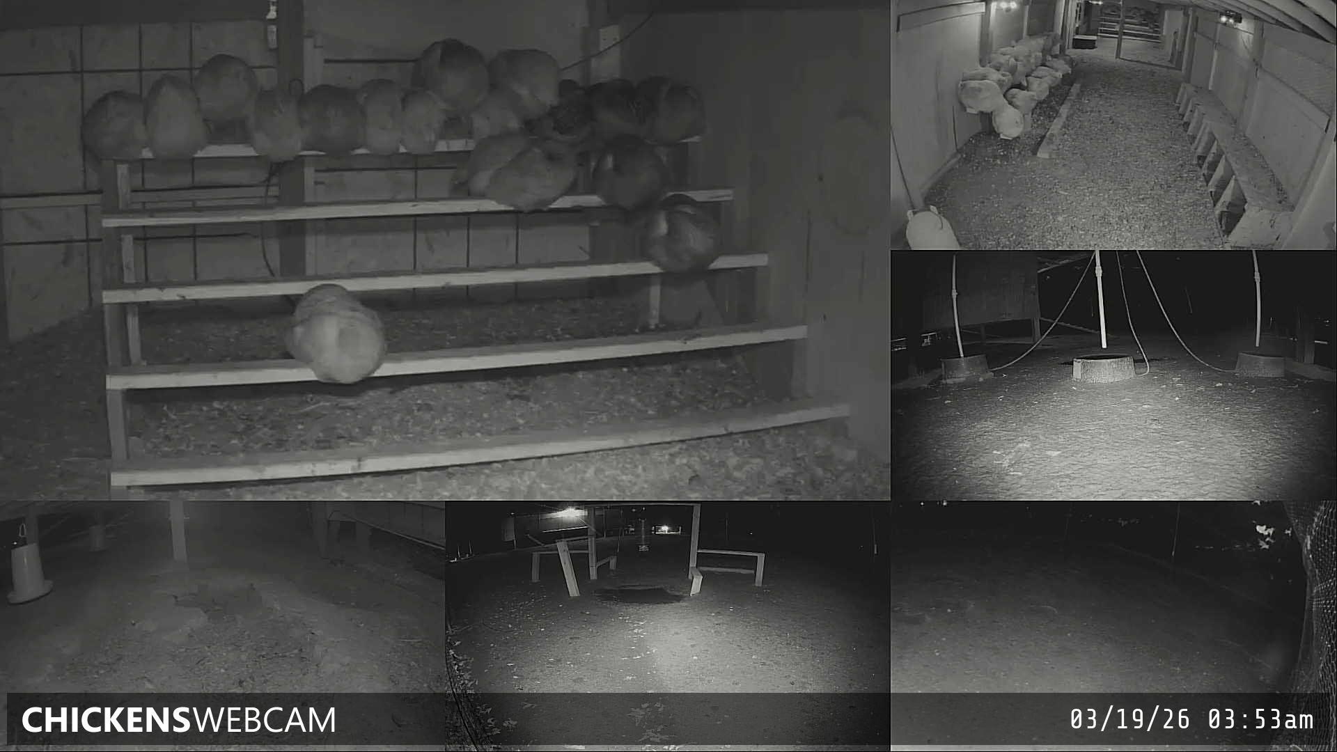 Twitch Stream Preview