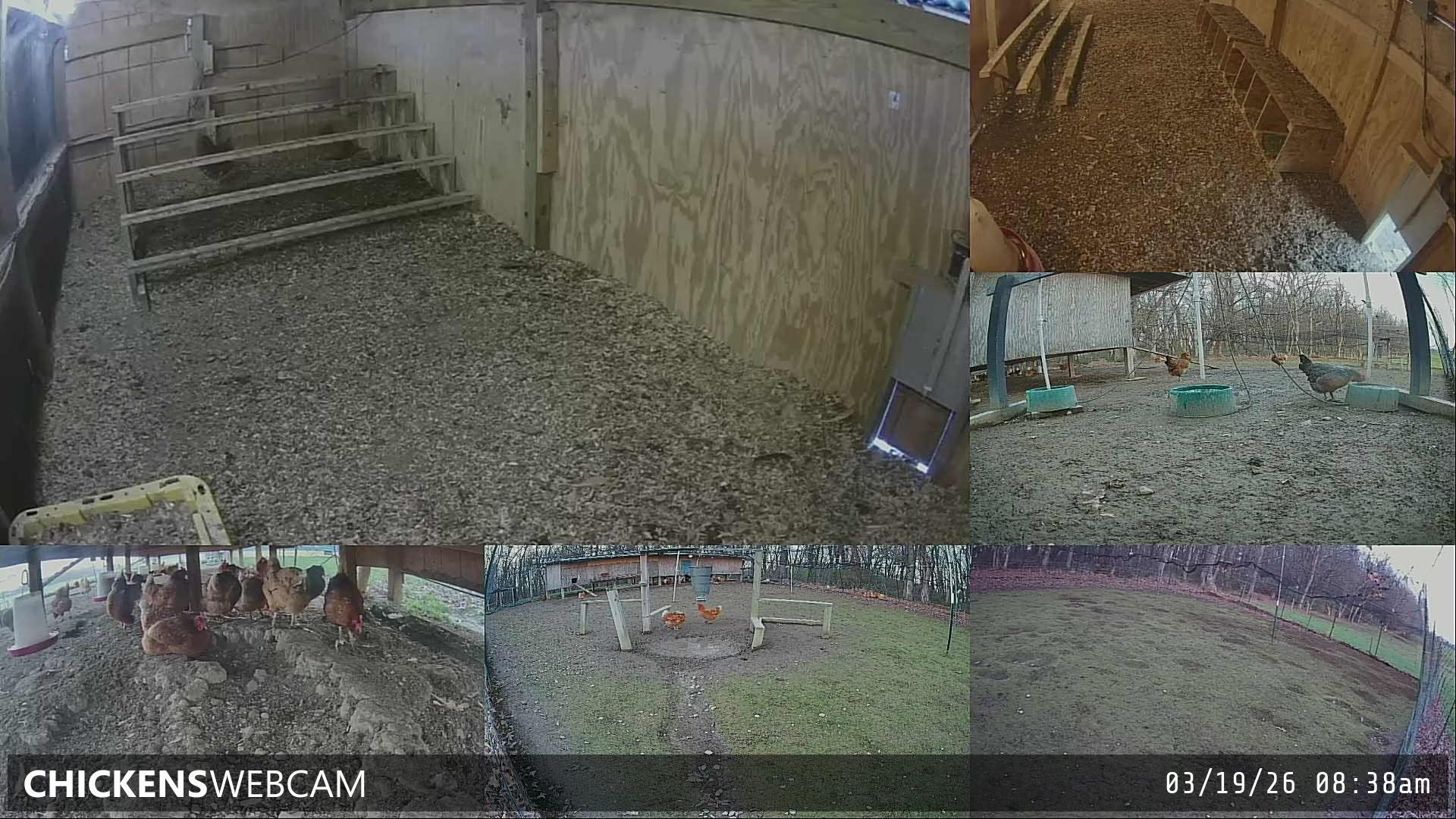 Twitch Stream Preview