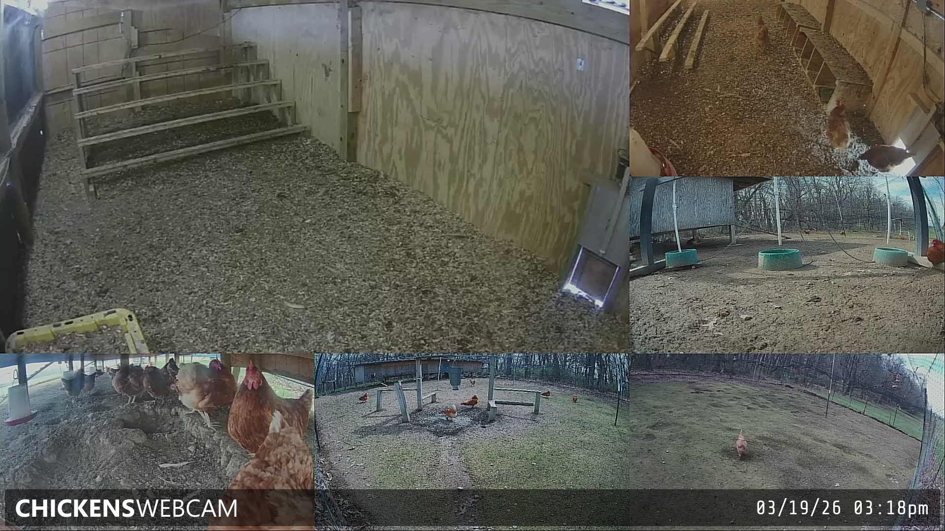 Twitch Stream Preview