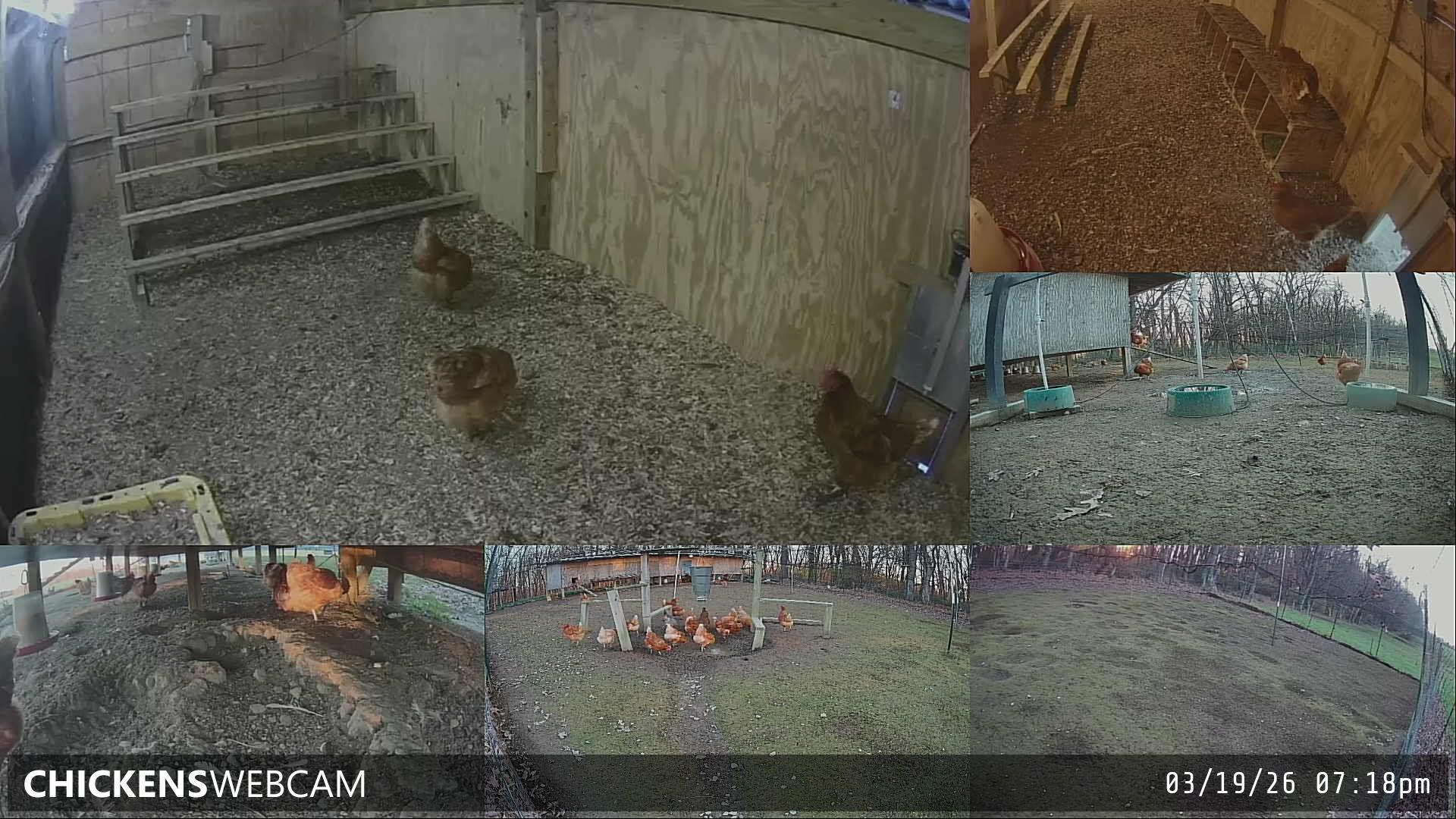 Twitch Stream Preview