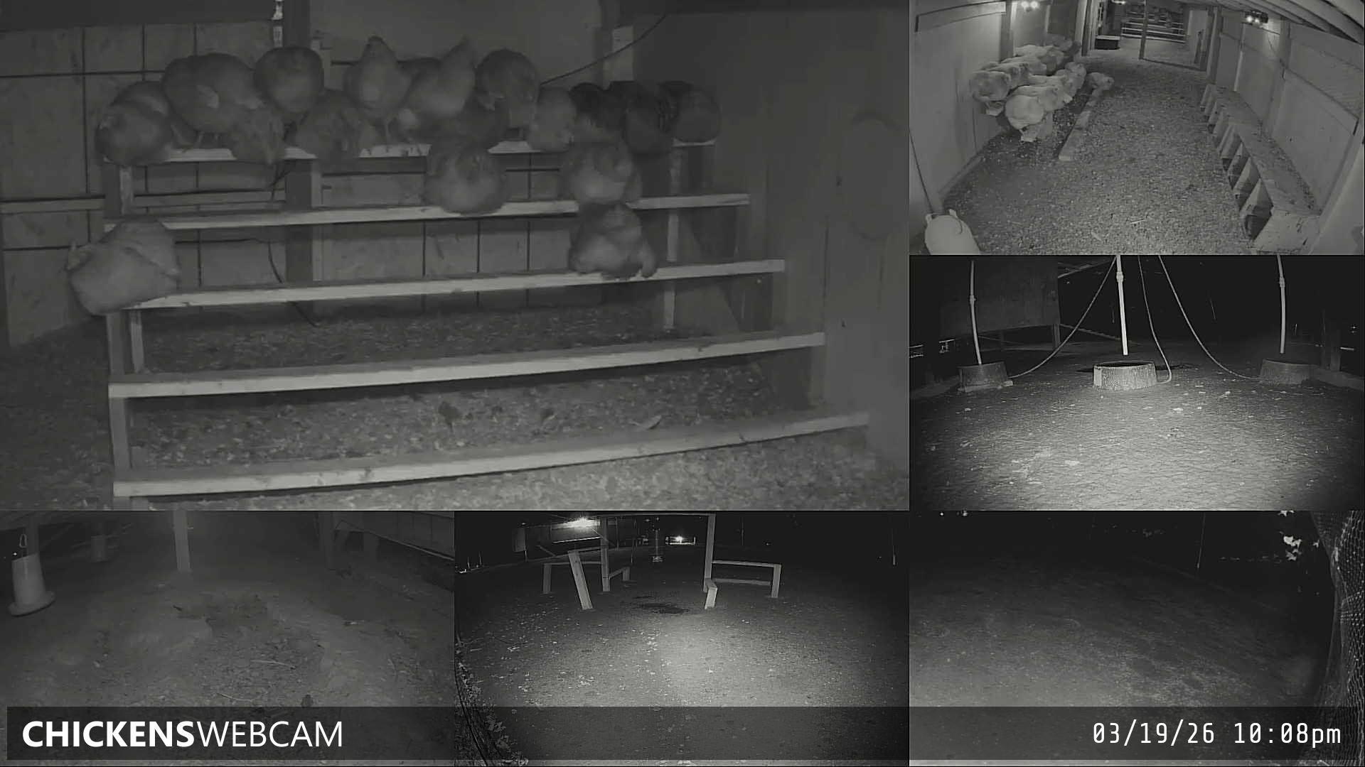 Twitch Stream Preview