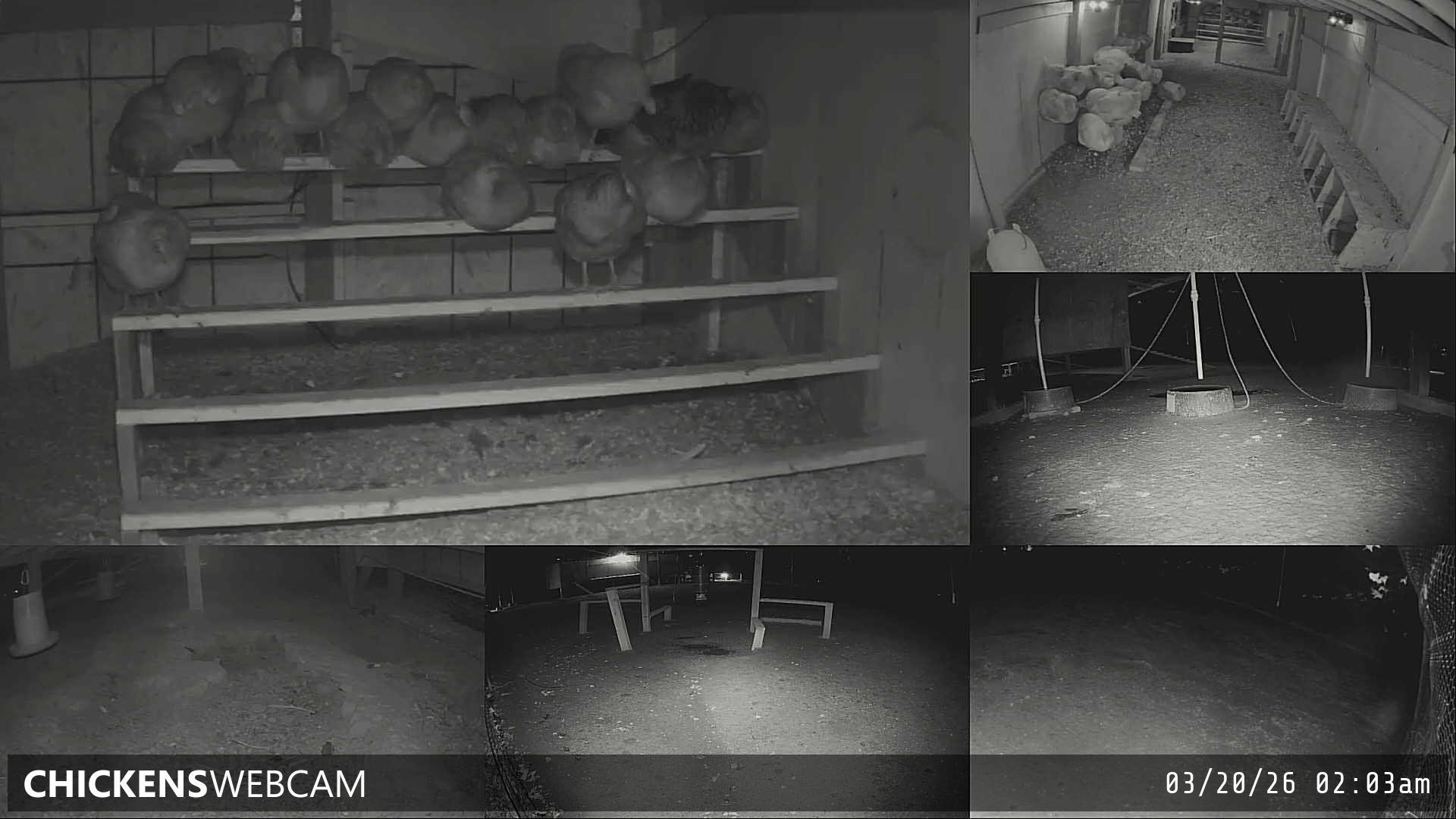 Twitch Stream Preview