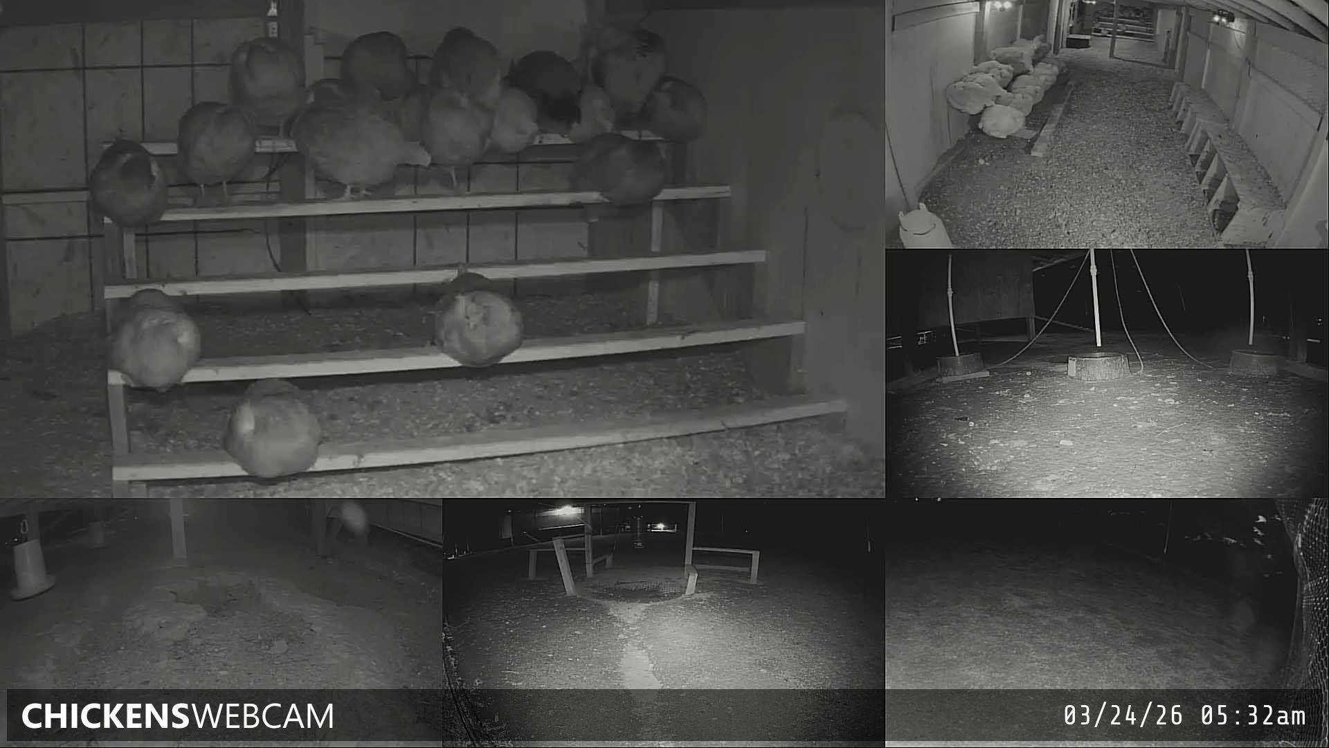 Twitch Stream Preview