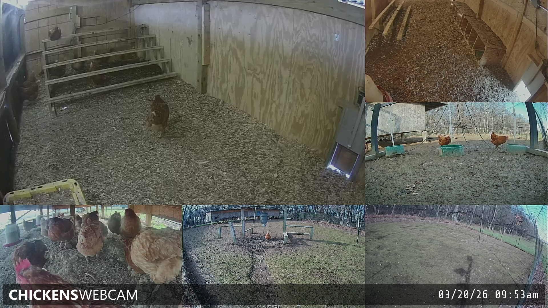 Twitch Stream Preview