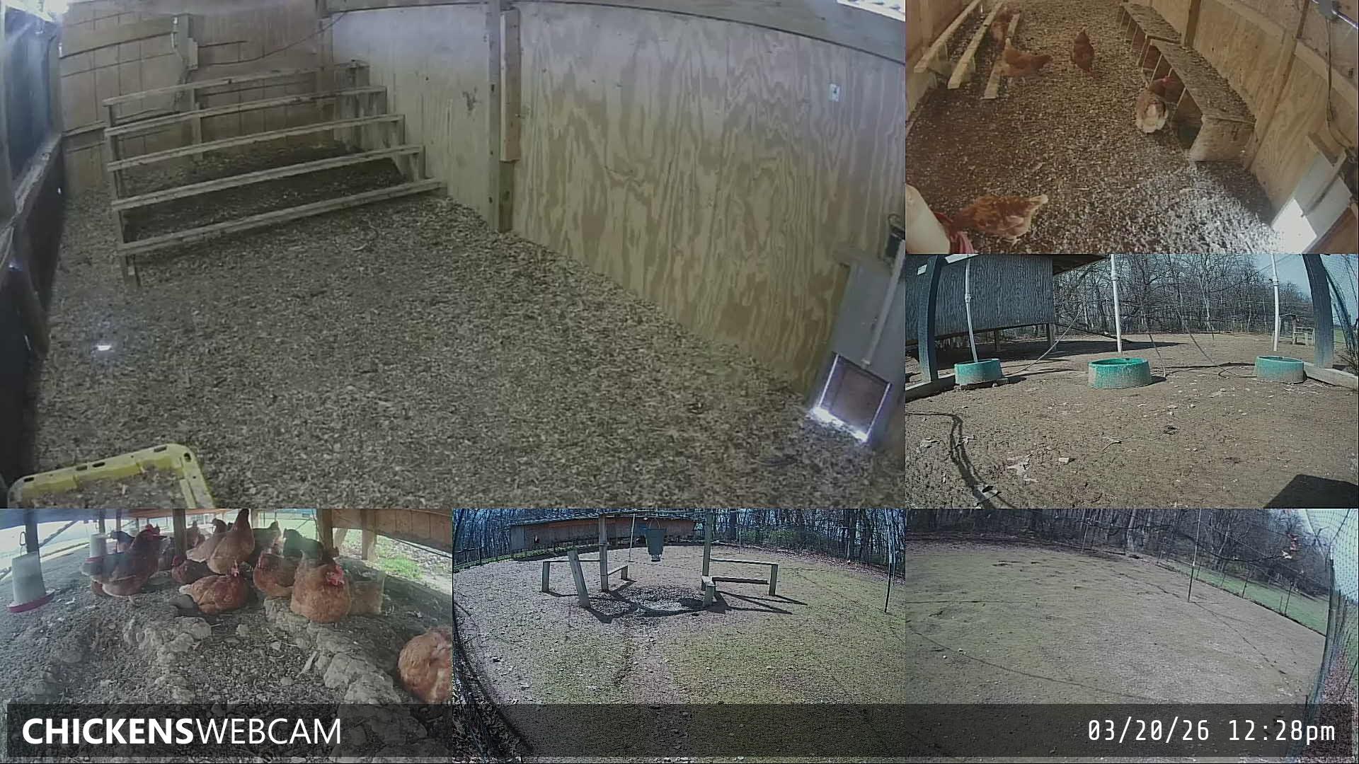 Twitch Stream Preview