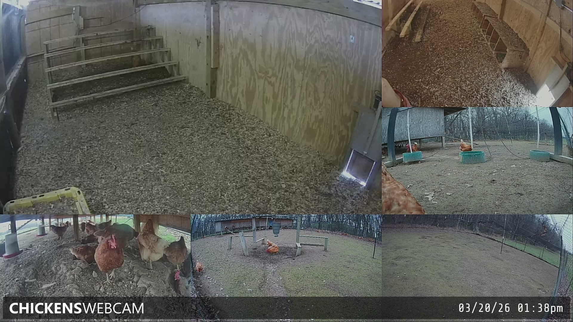 Twitch Stream Preview