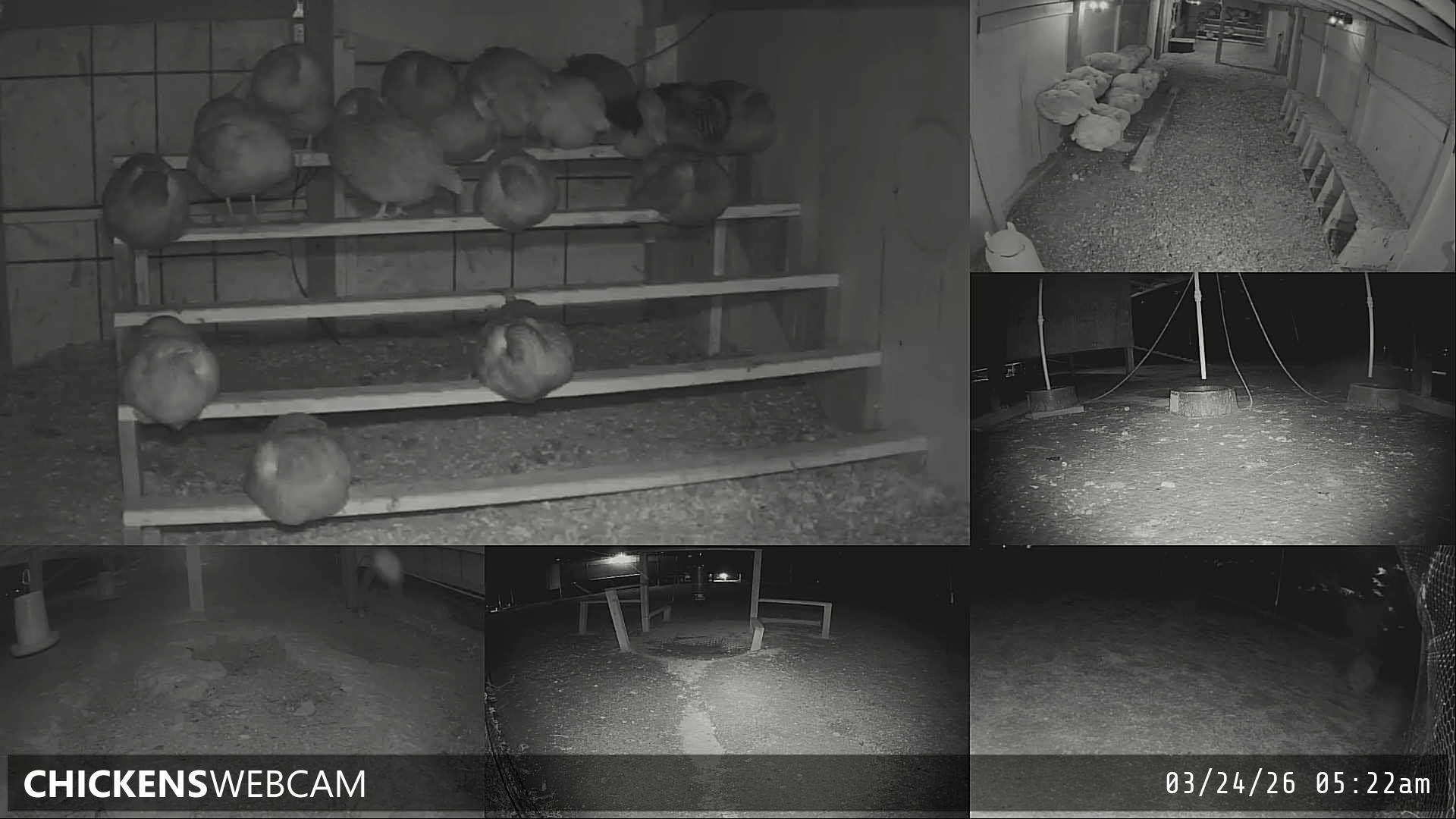 Twitch Stream Preview