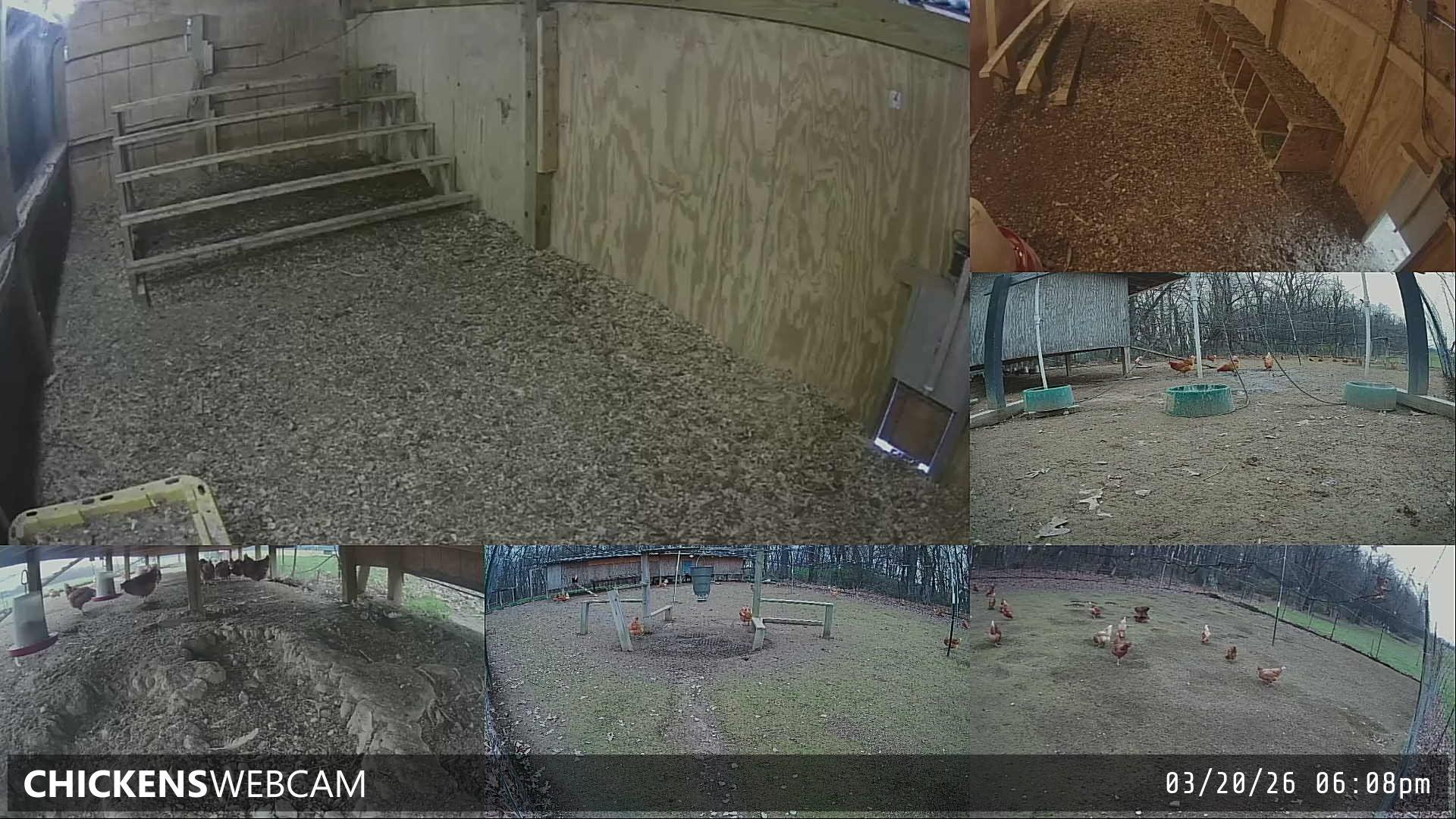 Twitch Stream Preview