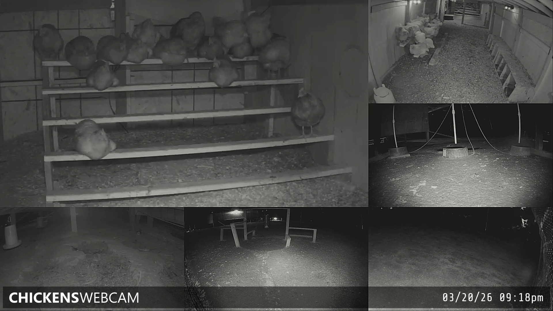 Twitch Stream Preview