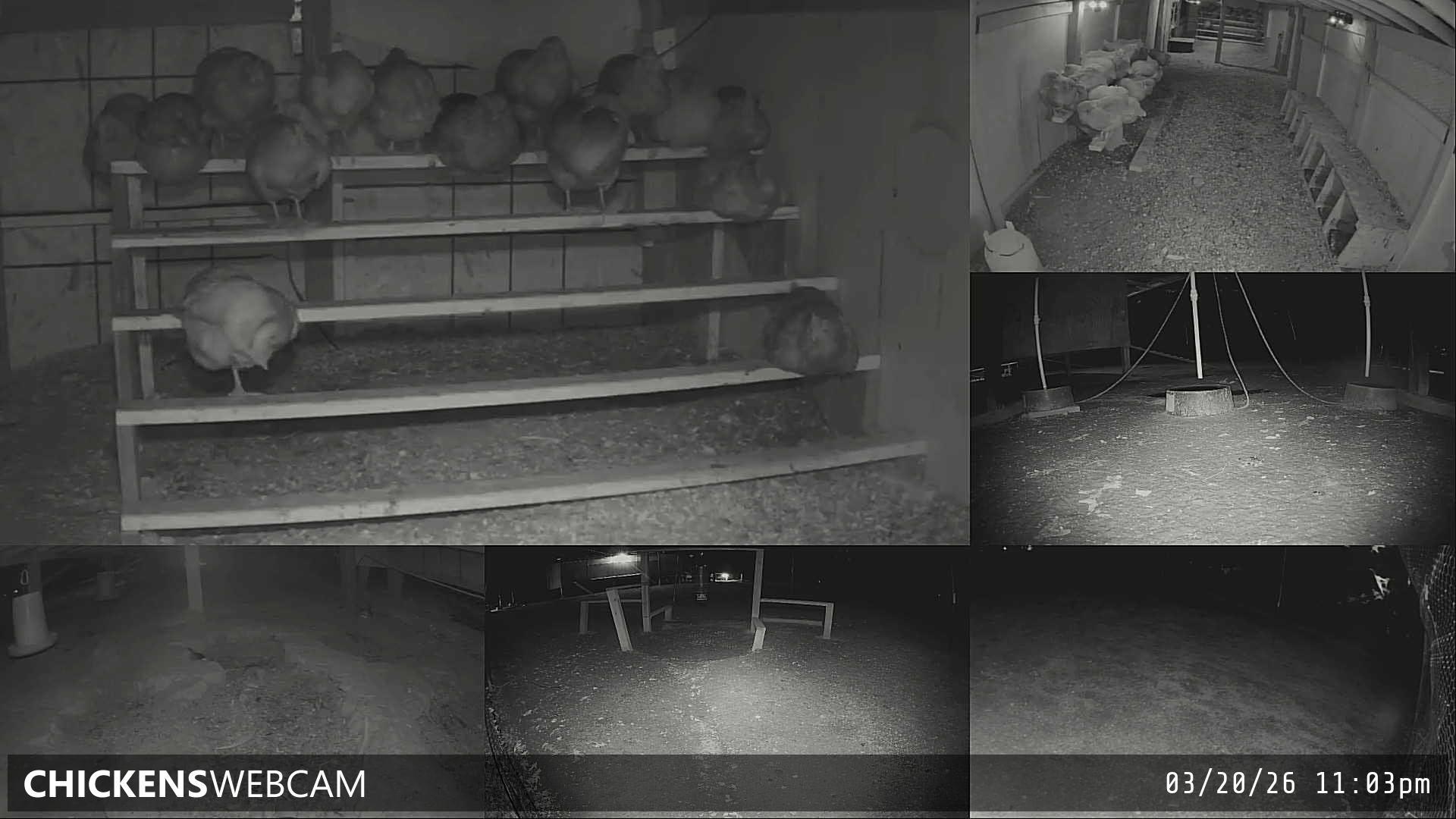 Twitch Stream Preview