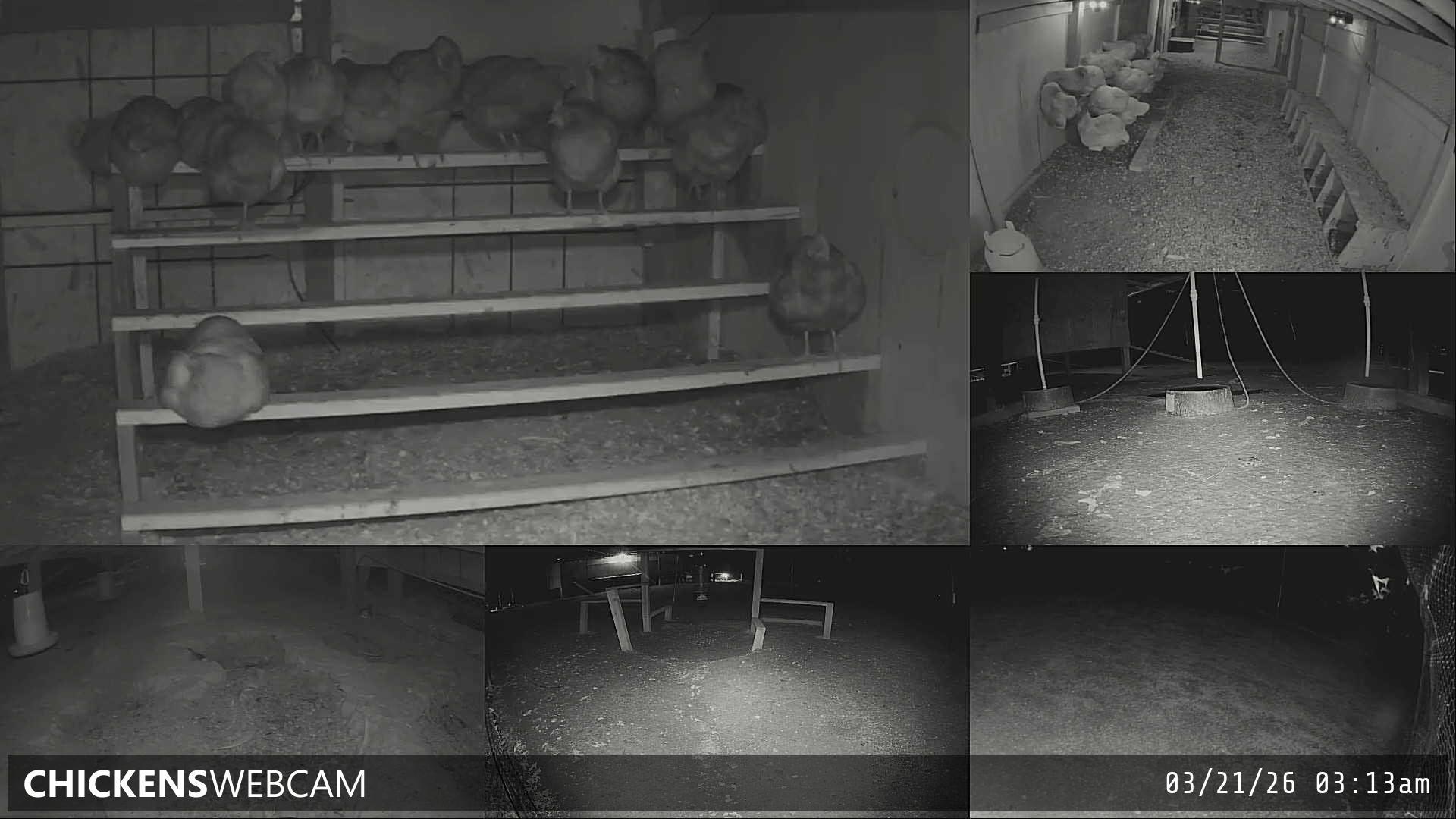 Twitch Stream Preview