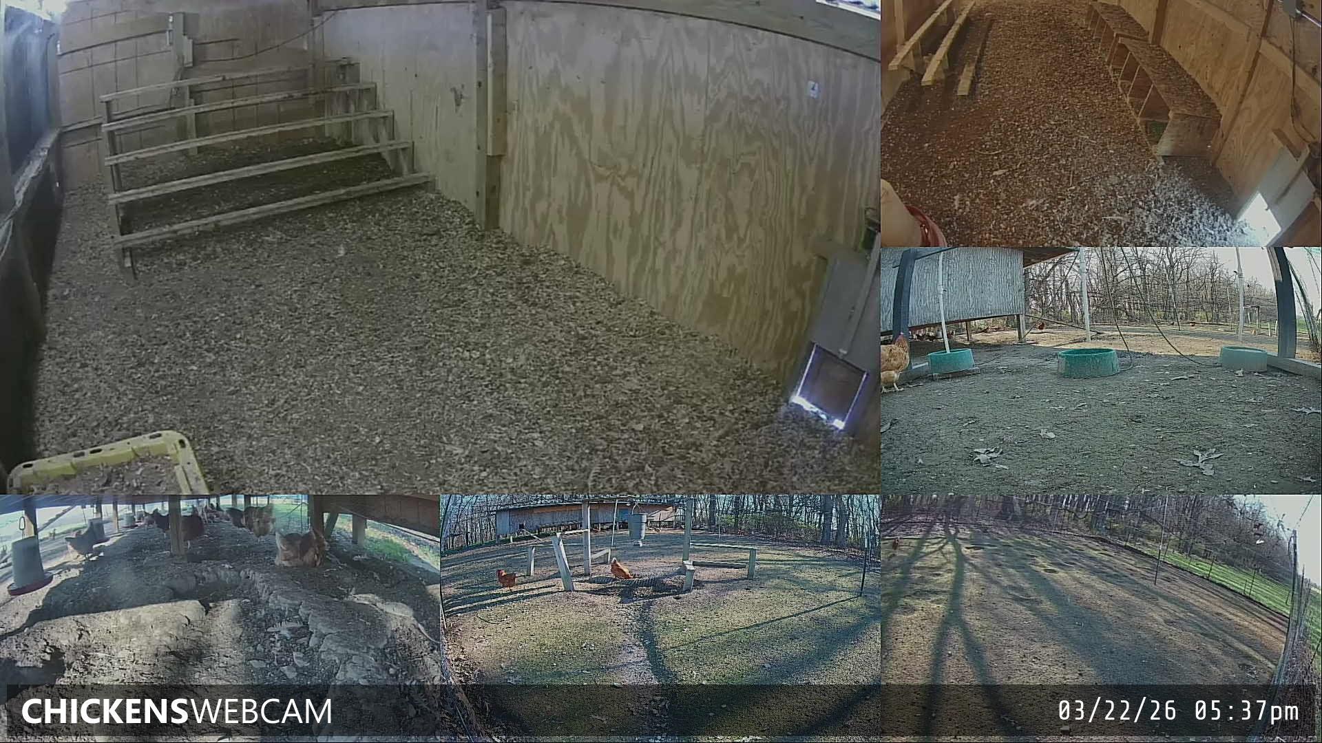 Twitch Stream Preview