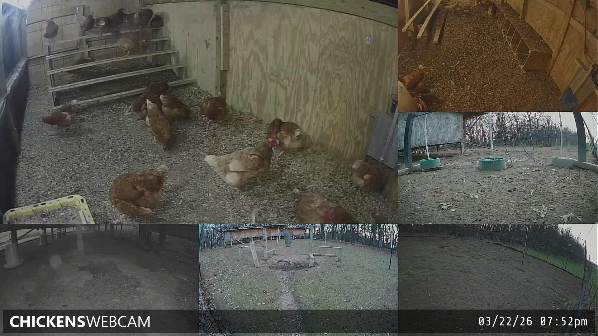 Twitch Stream Preview