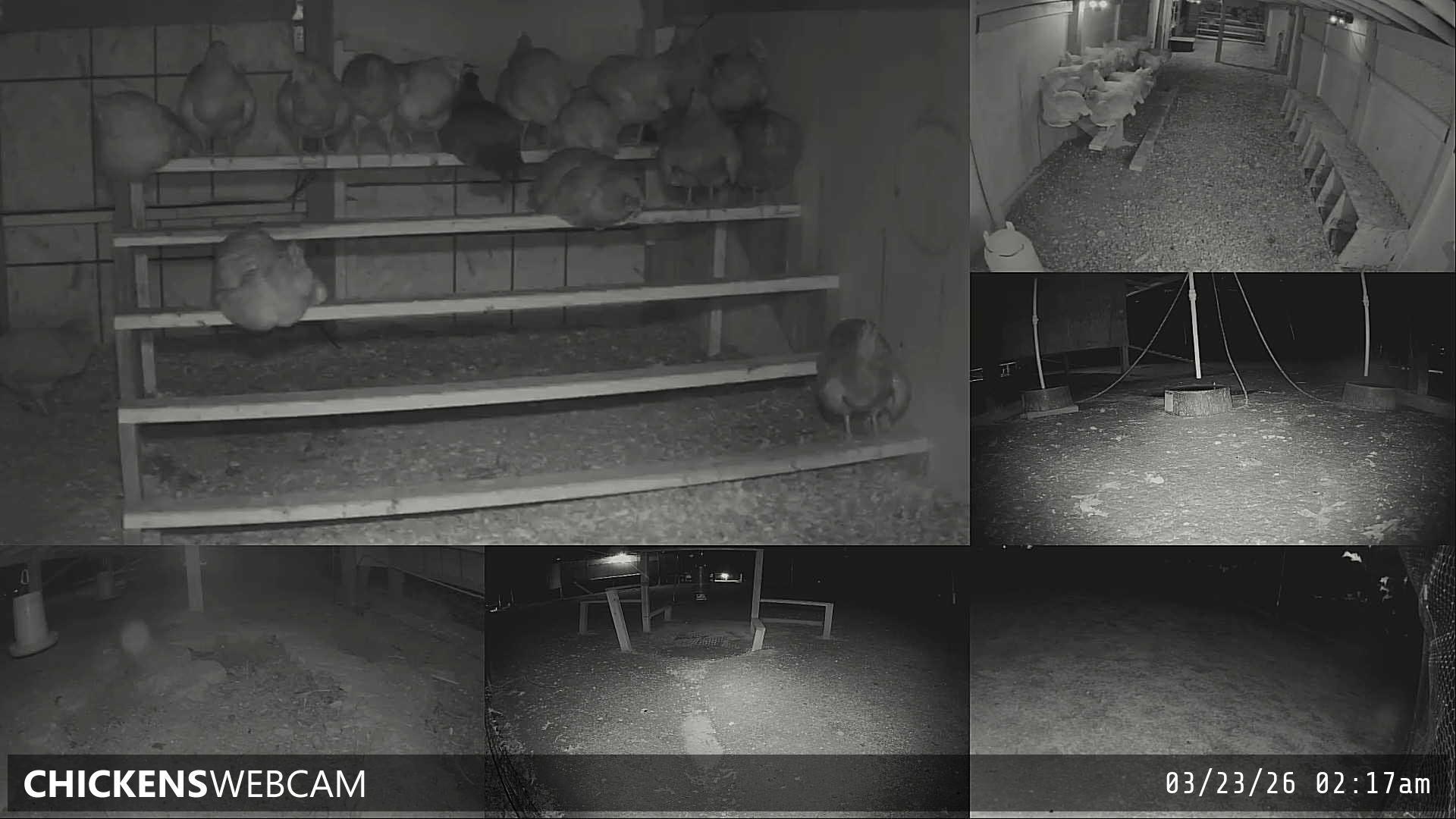 Twitch Stream Preview