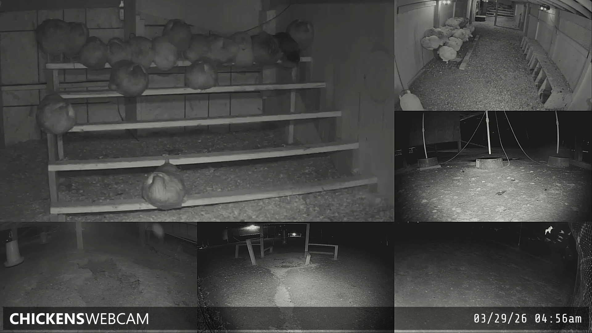 Twitch Stream Preview