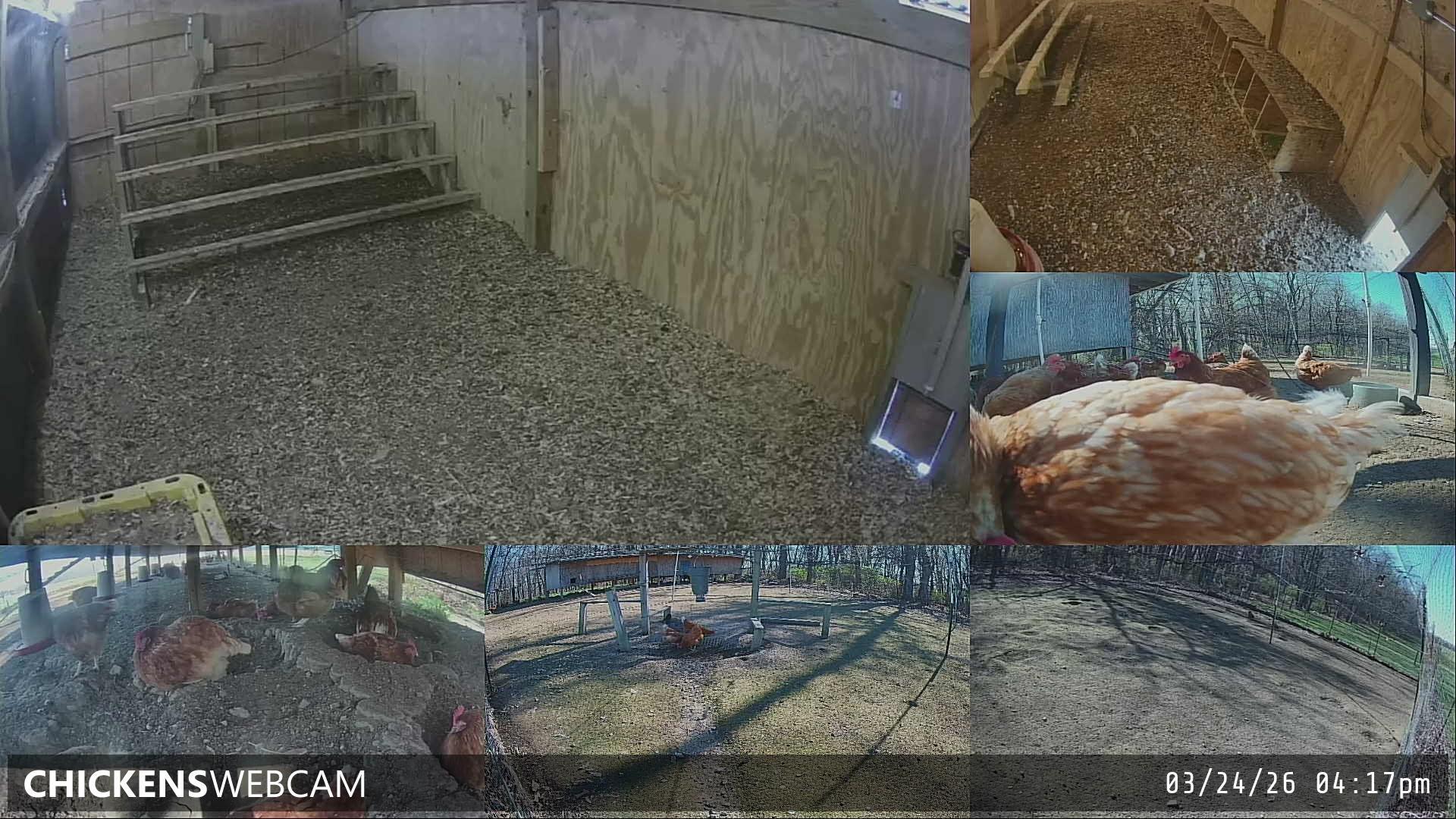 Twitch Stream Preview